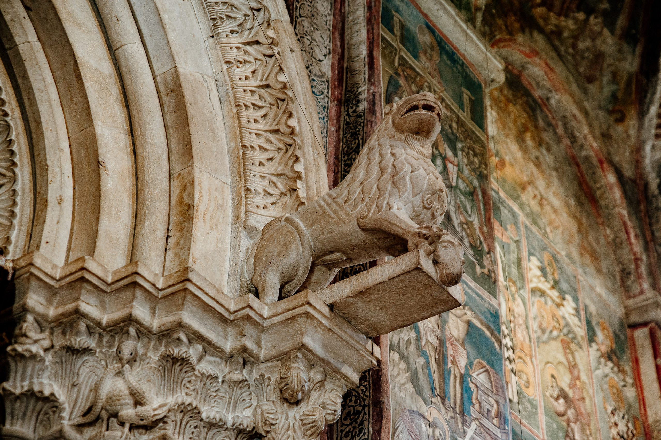 Kosovo i Metohija. Bojana Žuža fotograf u Beogradu 📷 Belgrade photographer