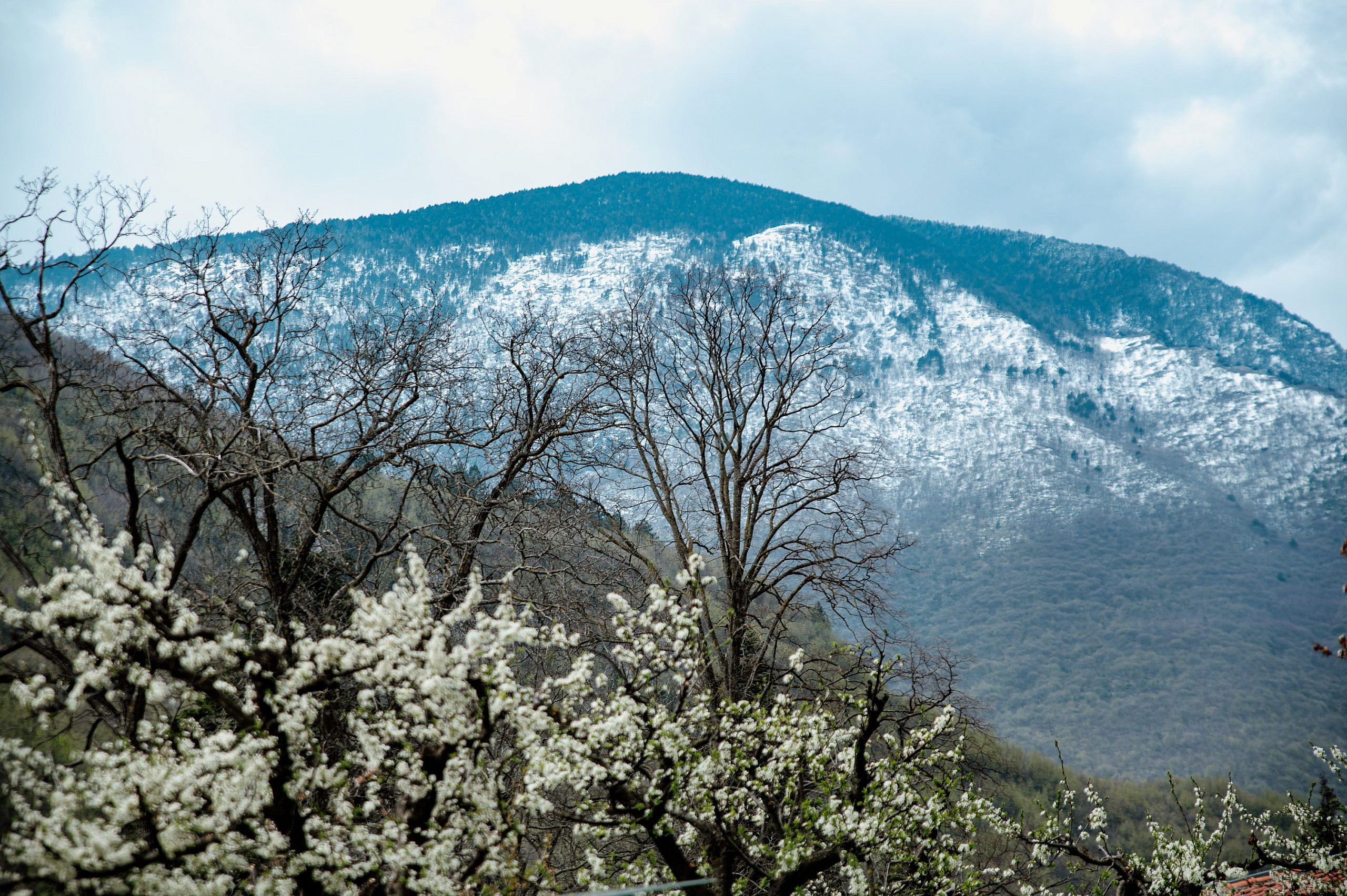 Kosovo i Metohija. Bojana Žuža fotograf u Beogradu 📷 Belgrade photographer