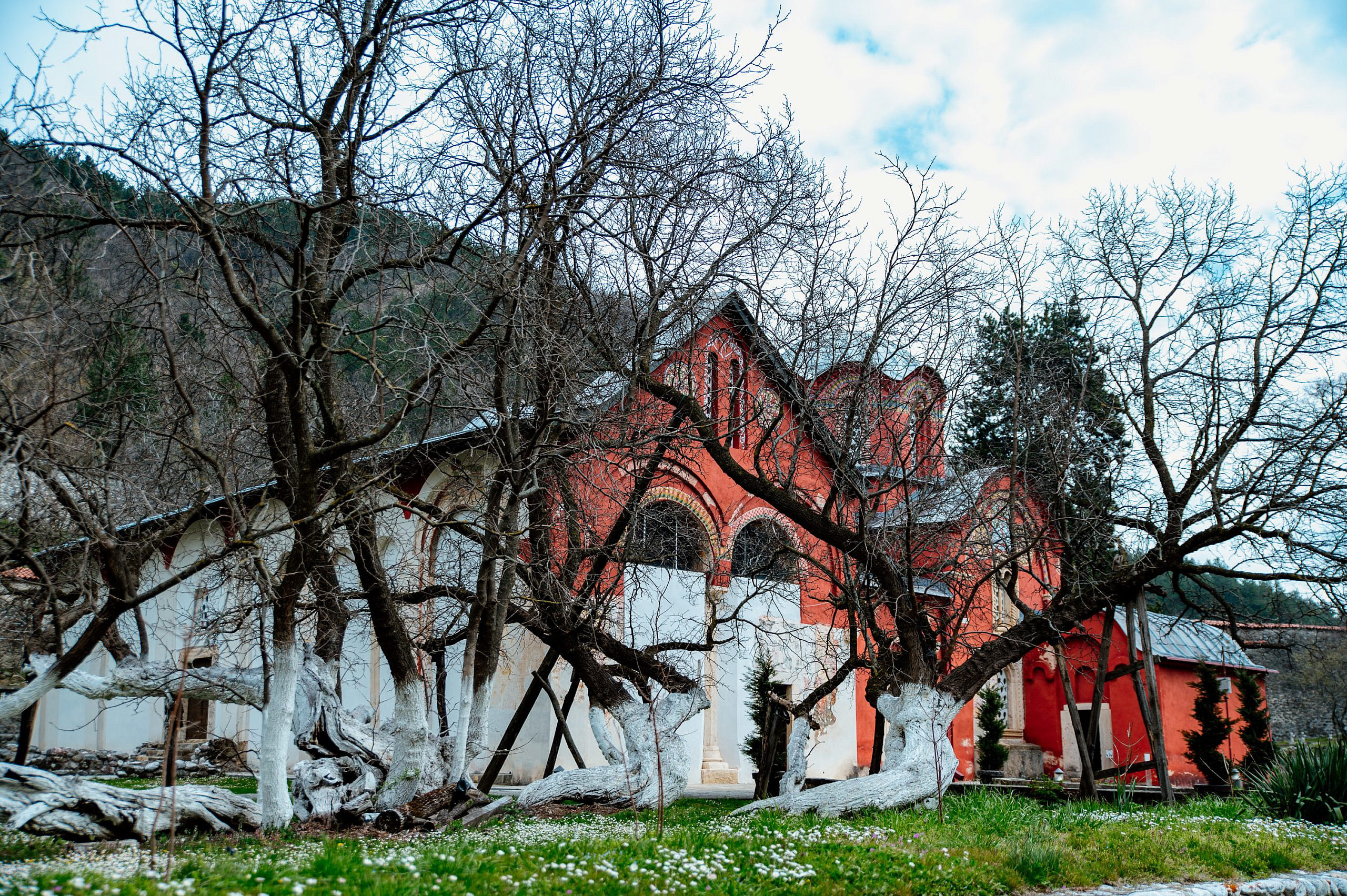 Kosovo i Metohija. Bojana Žuža fotograf u Beogradu 📷 Belgrade photographer