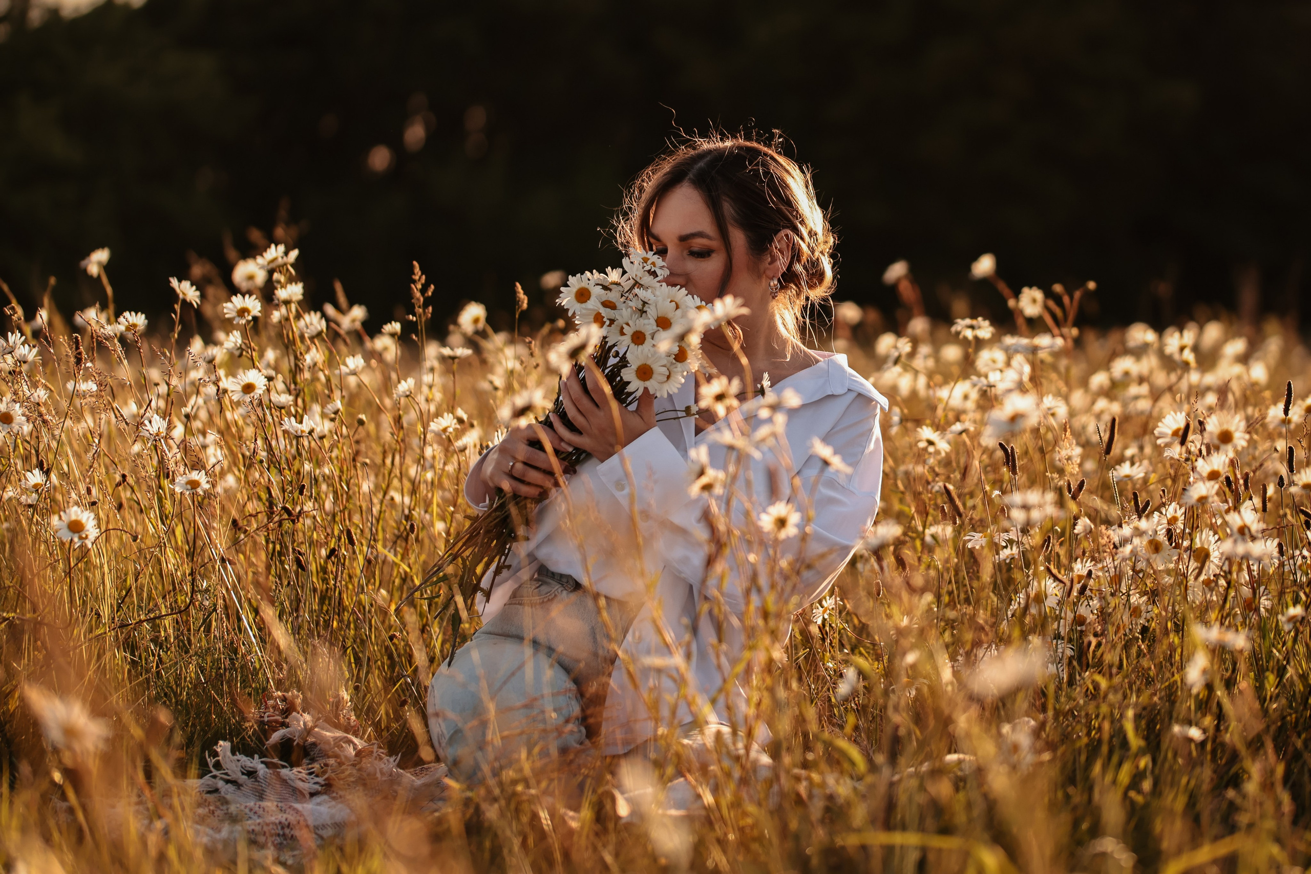 Daises. Photographer Co Dublin, Balbriggan — Agata Maliseva