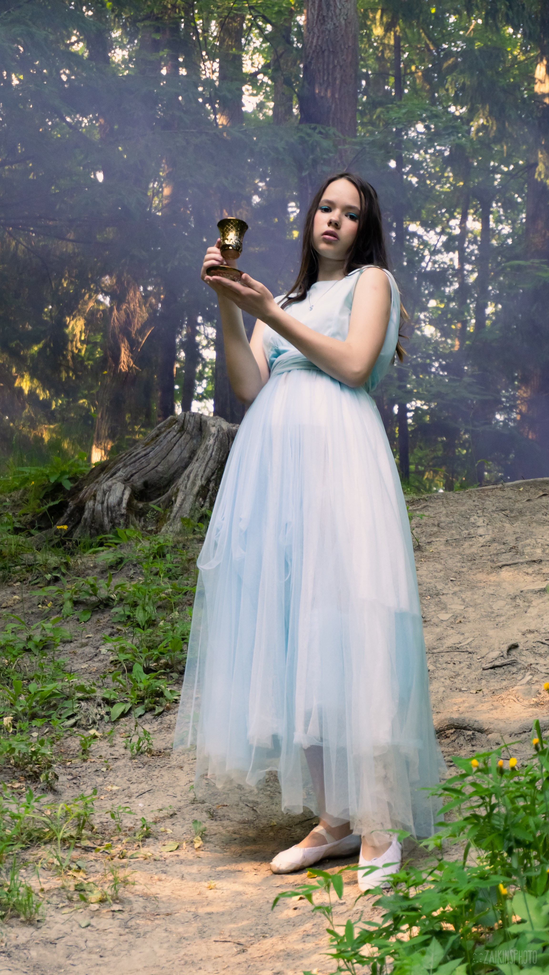 Alice In Wonderland. Main