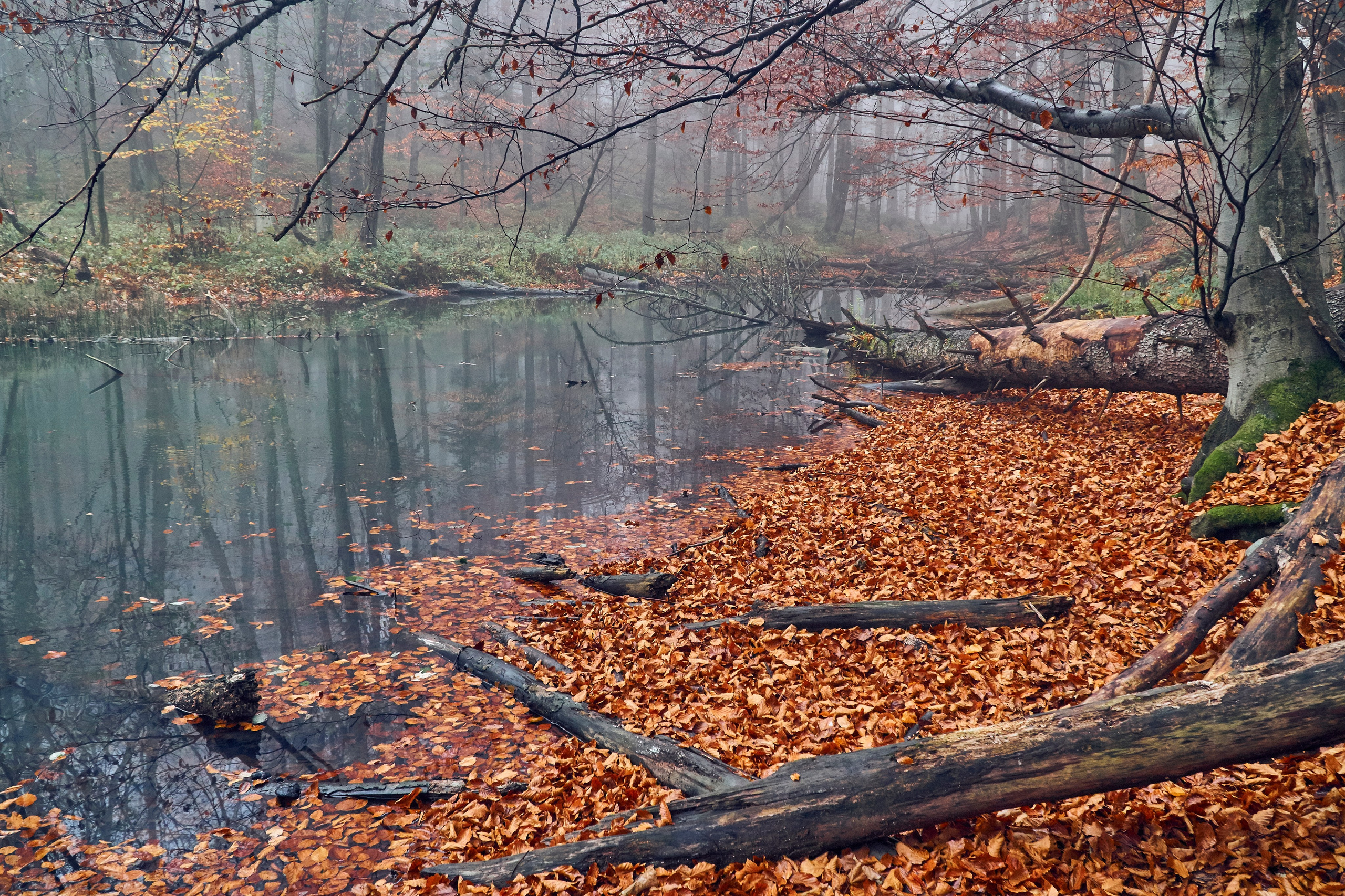Bieszczady - tu zatrzymuje się czas. Andriej Szypilow - Fotografia & Wideografia