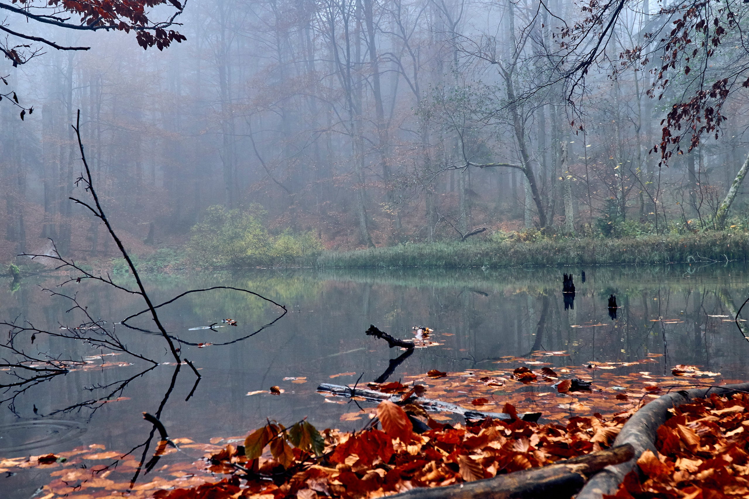 Bieszczady - tu zatrzymuje się czas. Andriej Szypilow - Fotografia & Wideografia
