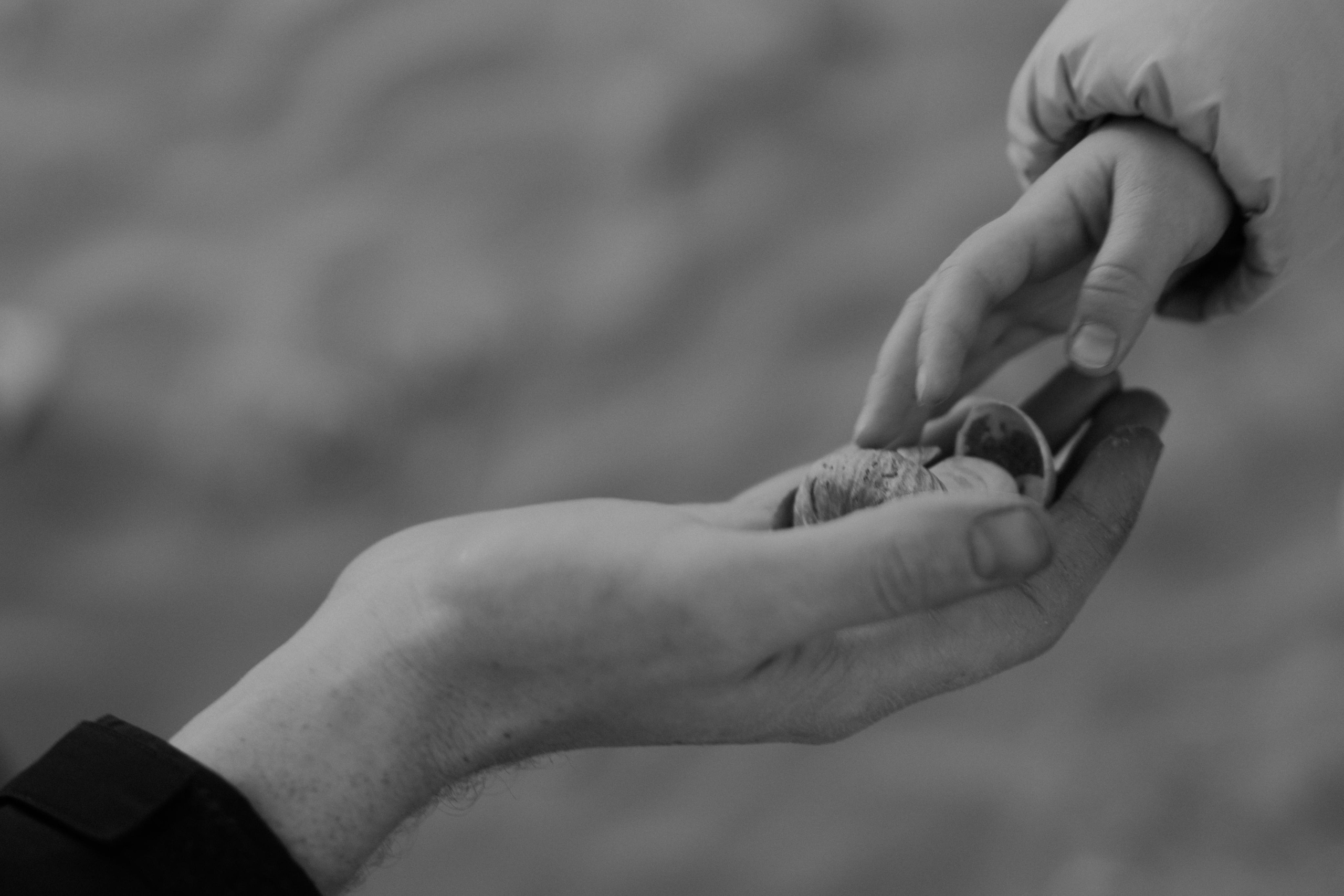 Family session in West Sussex. London portrait and family photographer