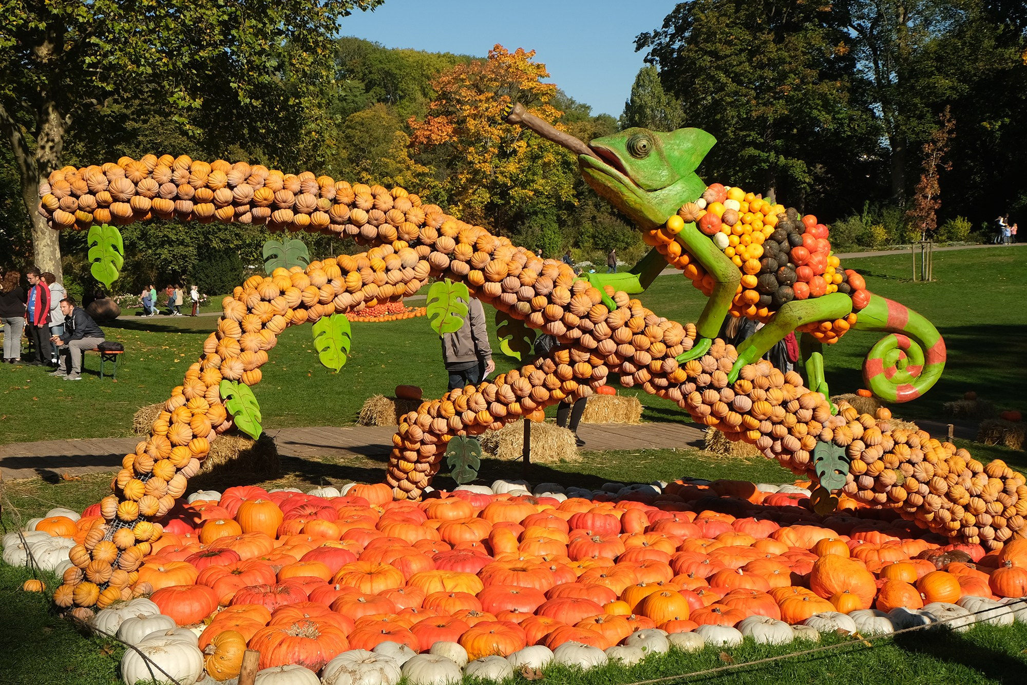 Фестиваль тыквы. Elina Reisen. Туристическое агентство в Аугсбурге