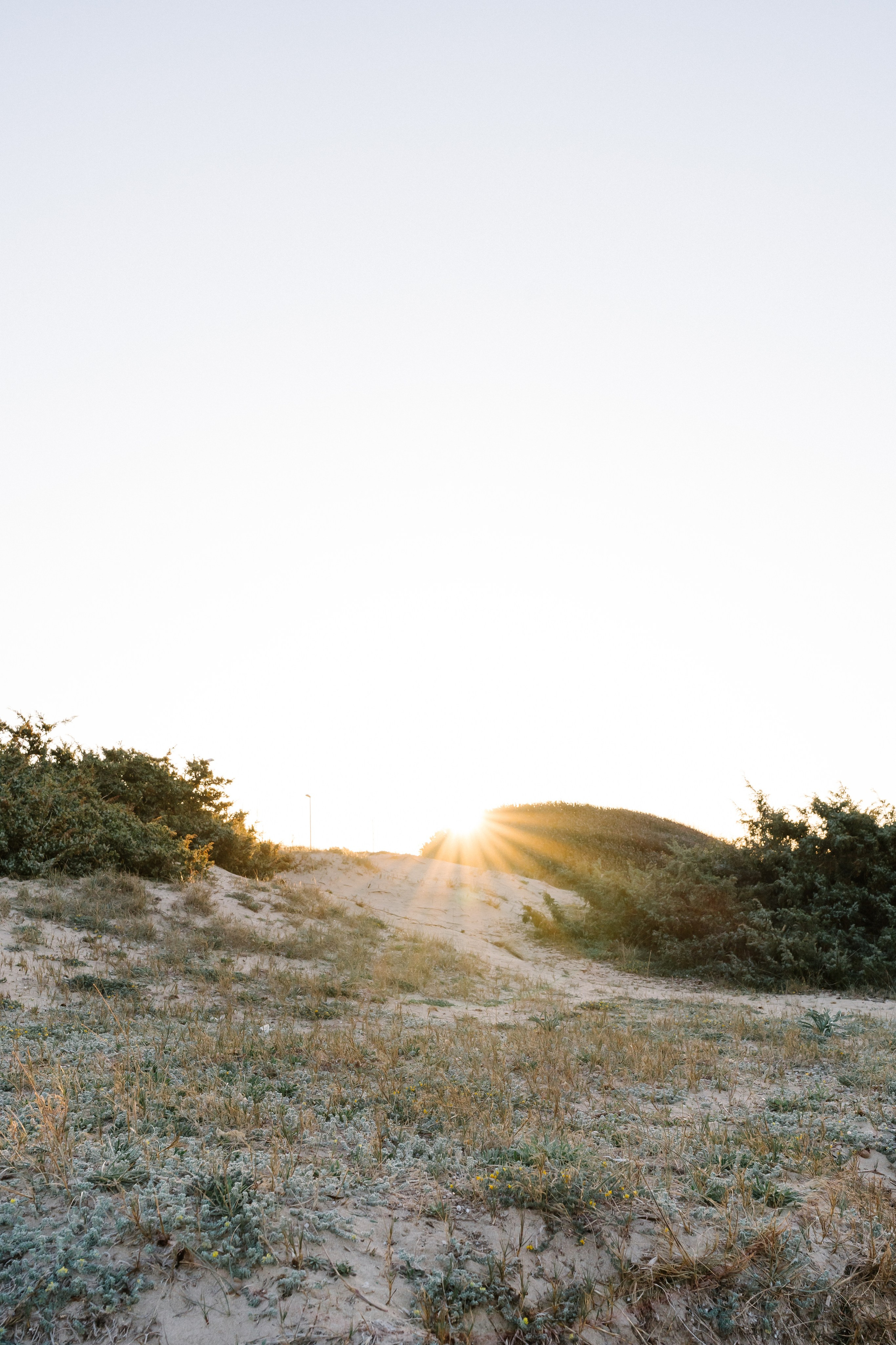 Puglia. Весільний фотограф Вікторія Саврук