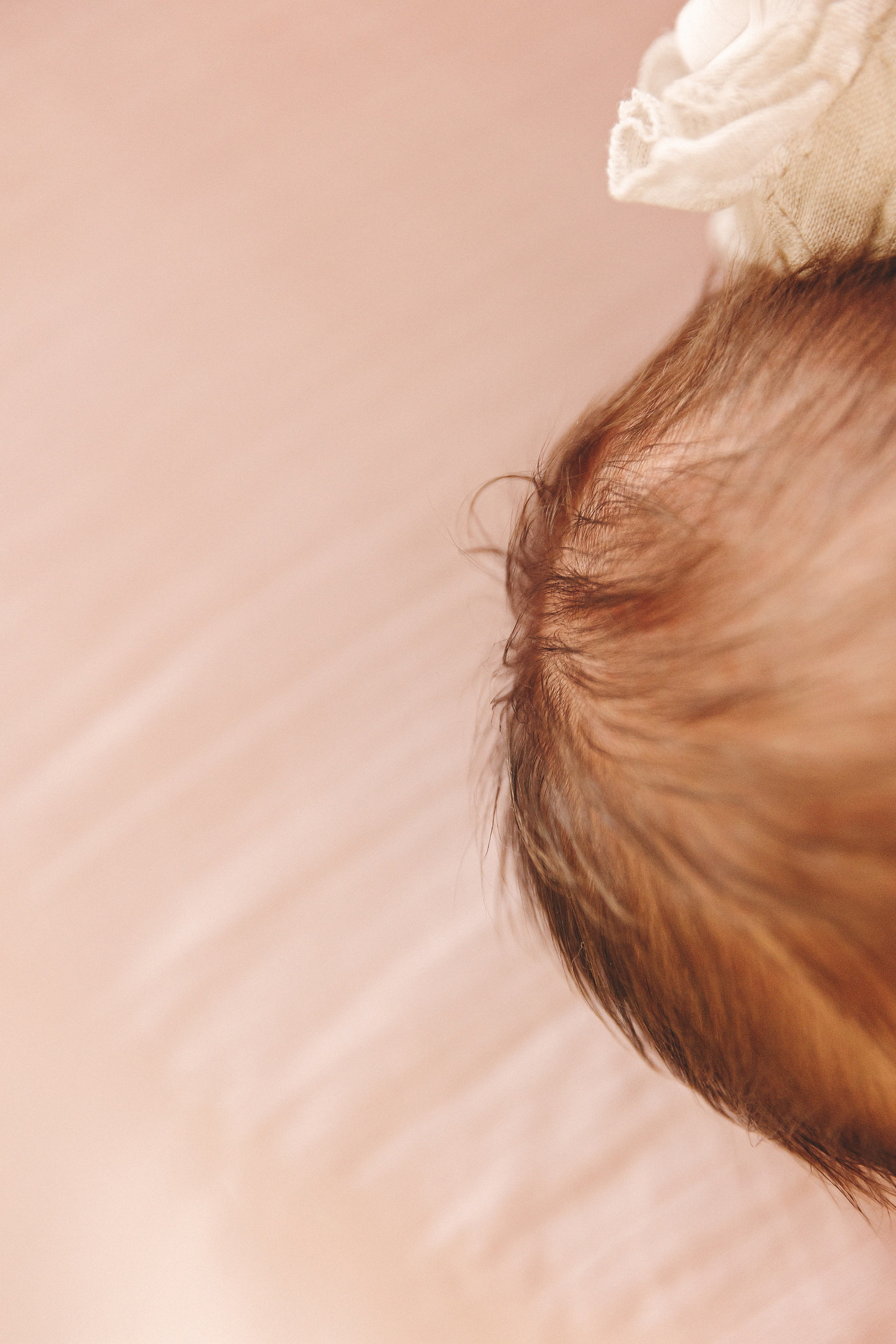 Babybauch & Newborn. Oxana Gruber Fotograf