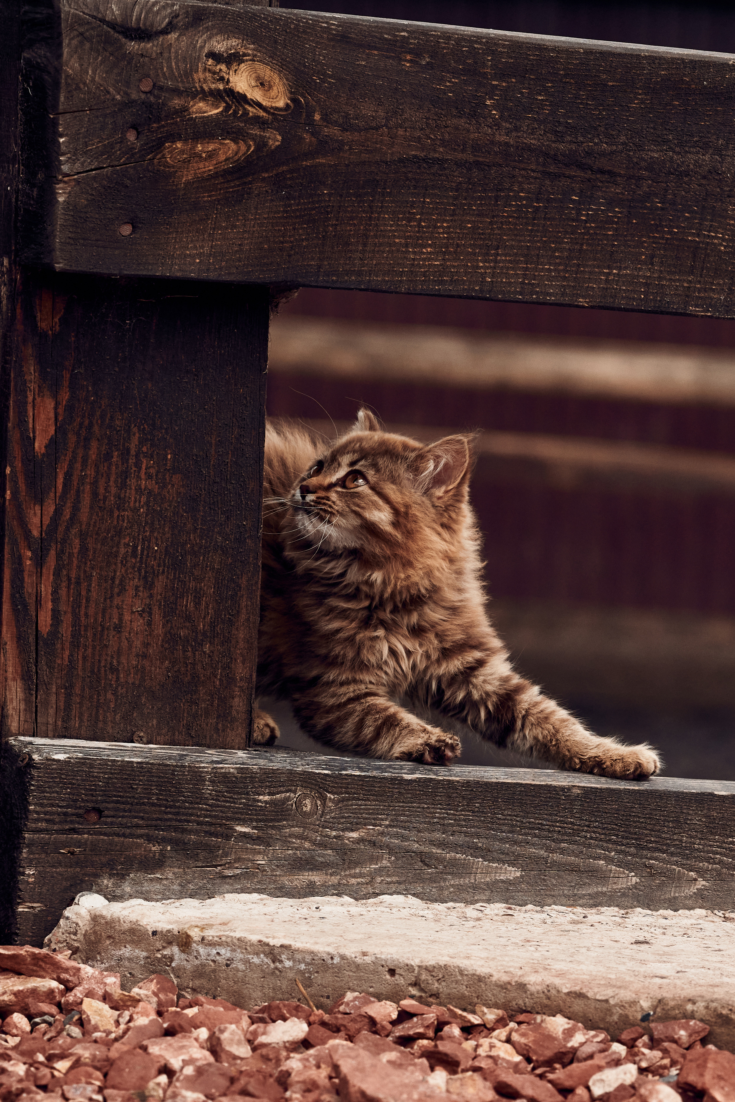 Ранчо Шарье. Место, где забываешь о времени. Фотограф в Барселоне Жанна Захарченко