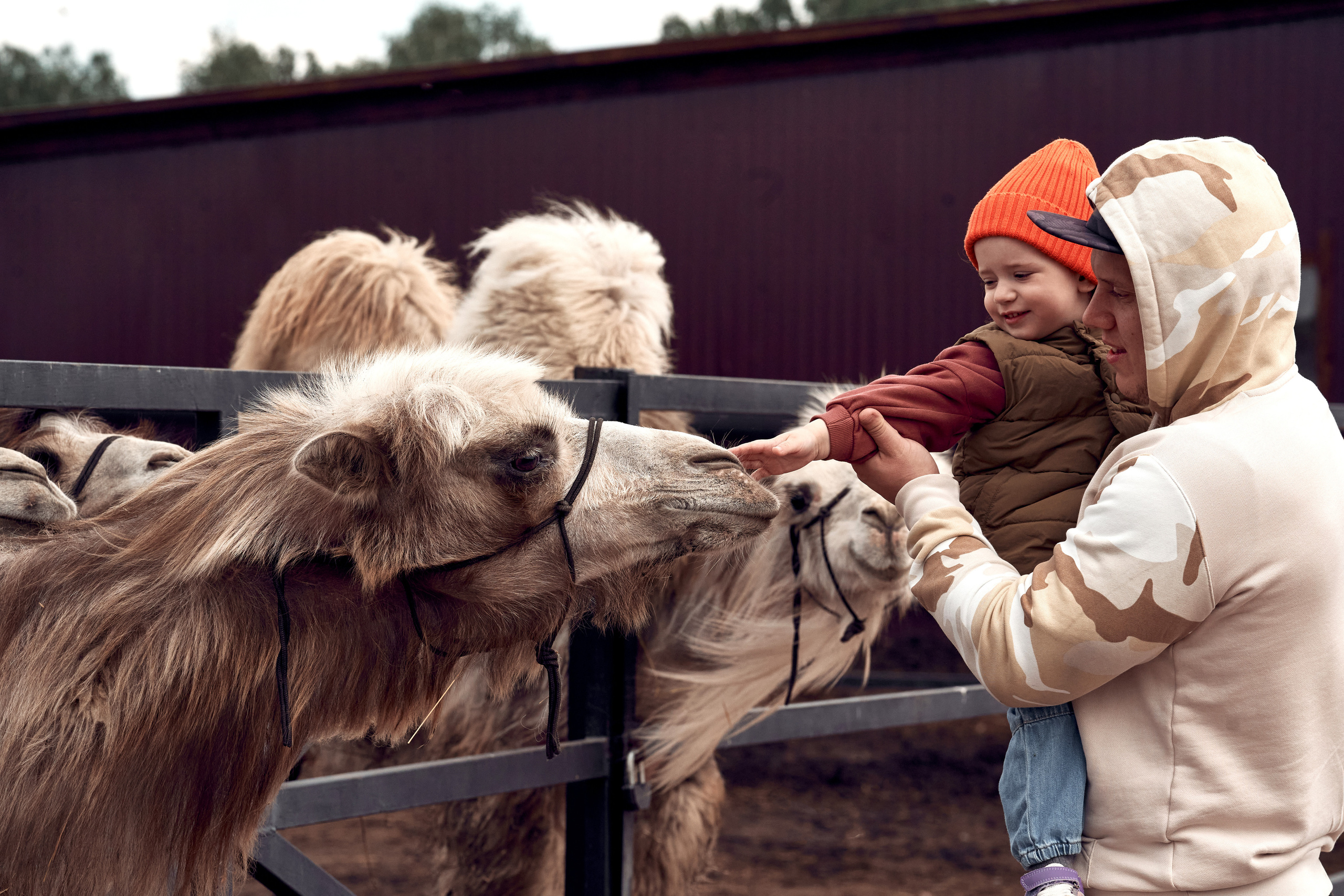 Ранчо Шарье. Место, где забываешь о времени. Фотограф в Барселоне Жанна Захарченко