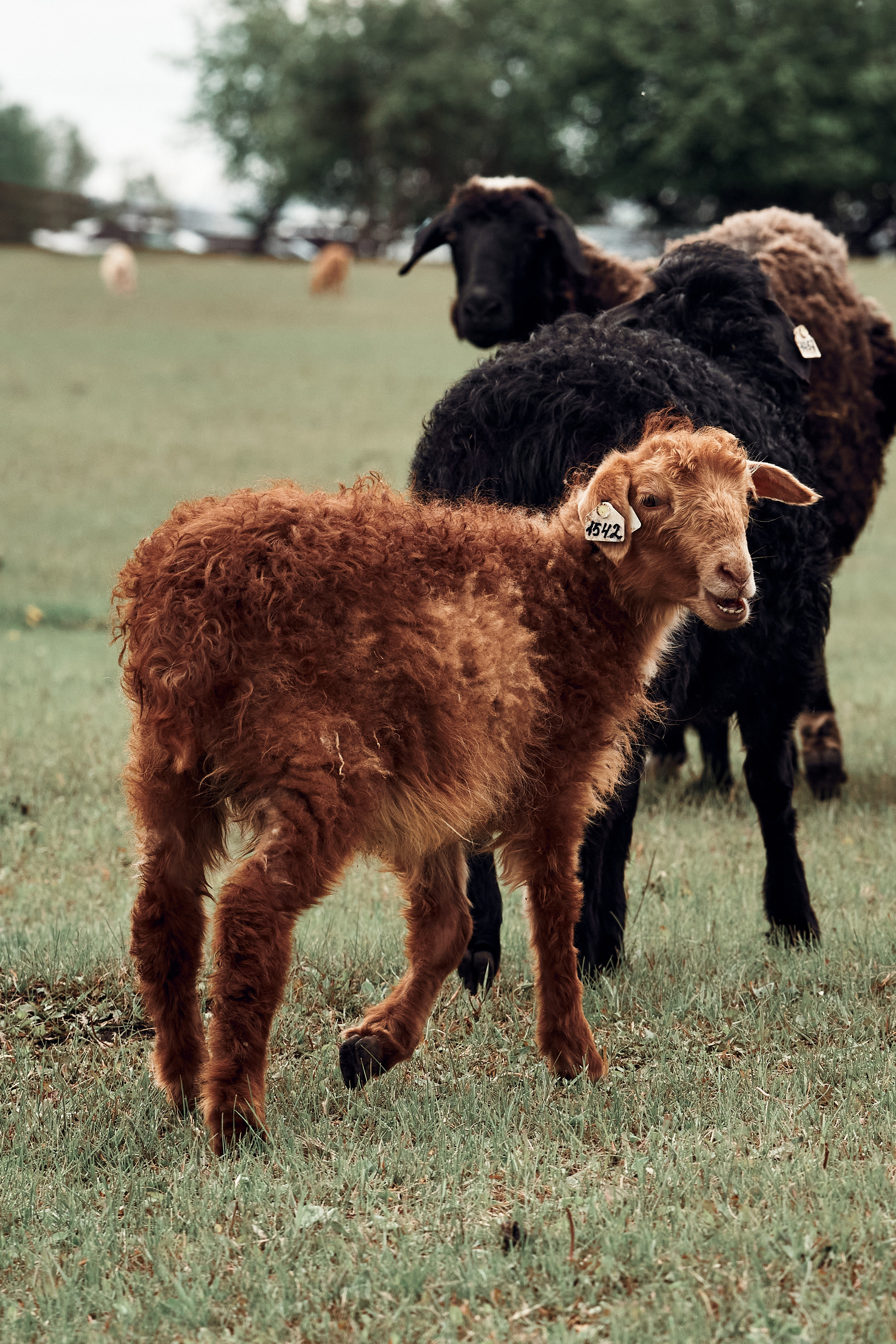 Rancho Charrière. Un lugar donde olvidarse del tiempo