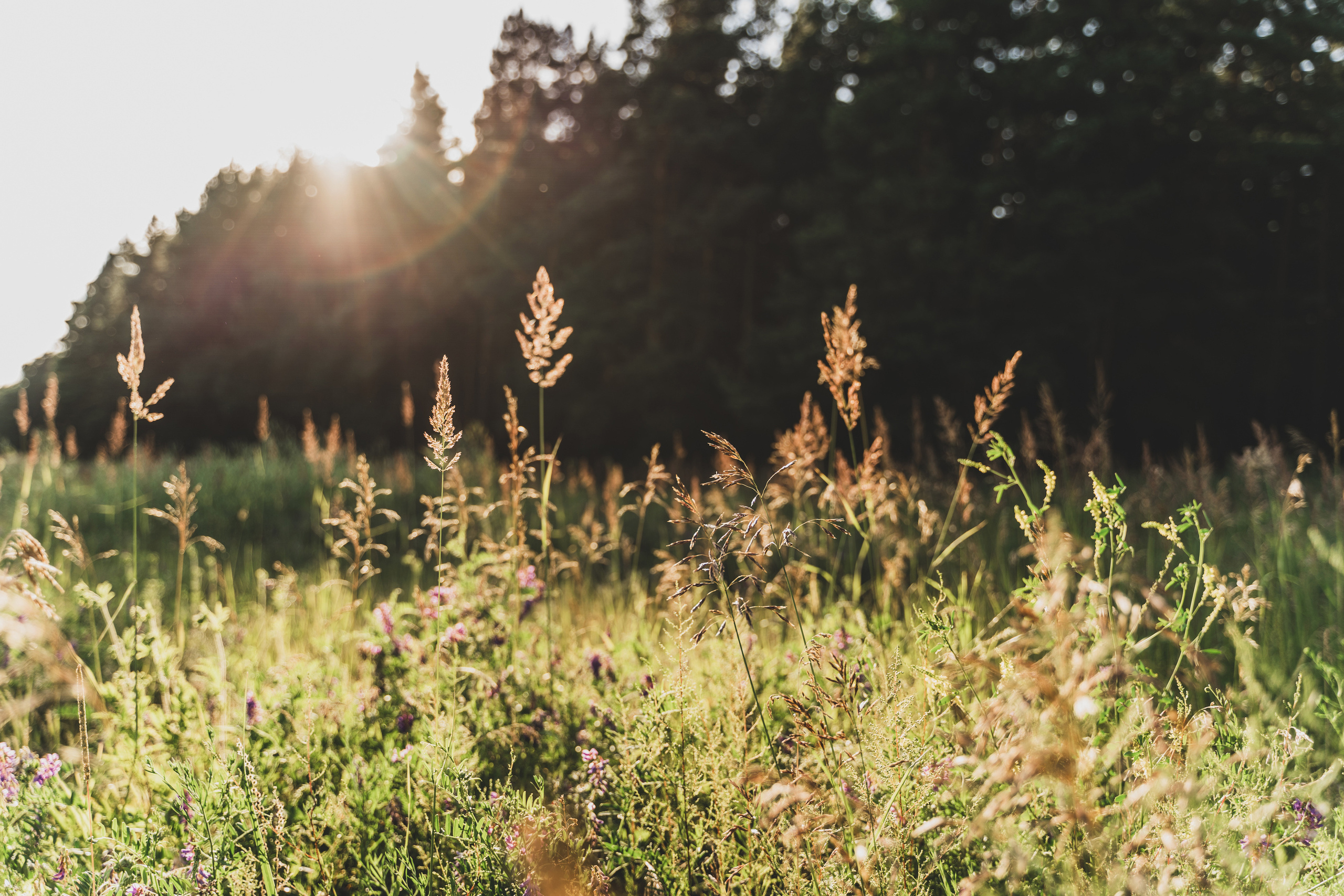 18-летие. Дарья. Фотограф в Барселоне Жанна Захарченко