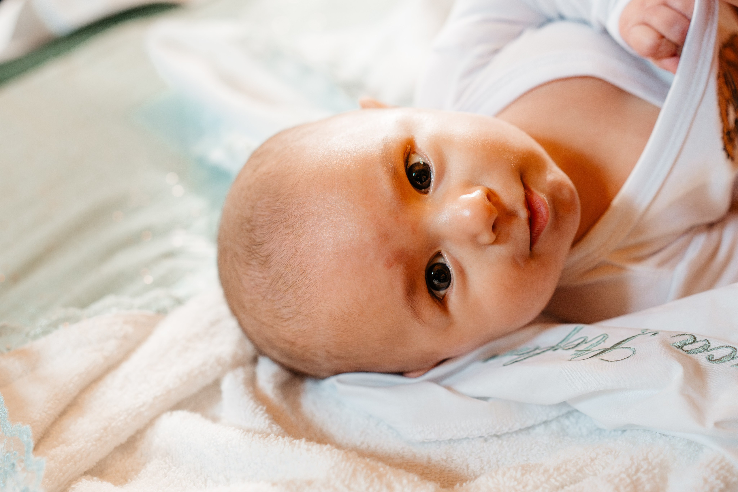 Luca Stefan. Raw Studio. Fotograful tau de nunta!