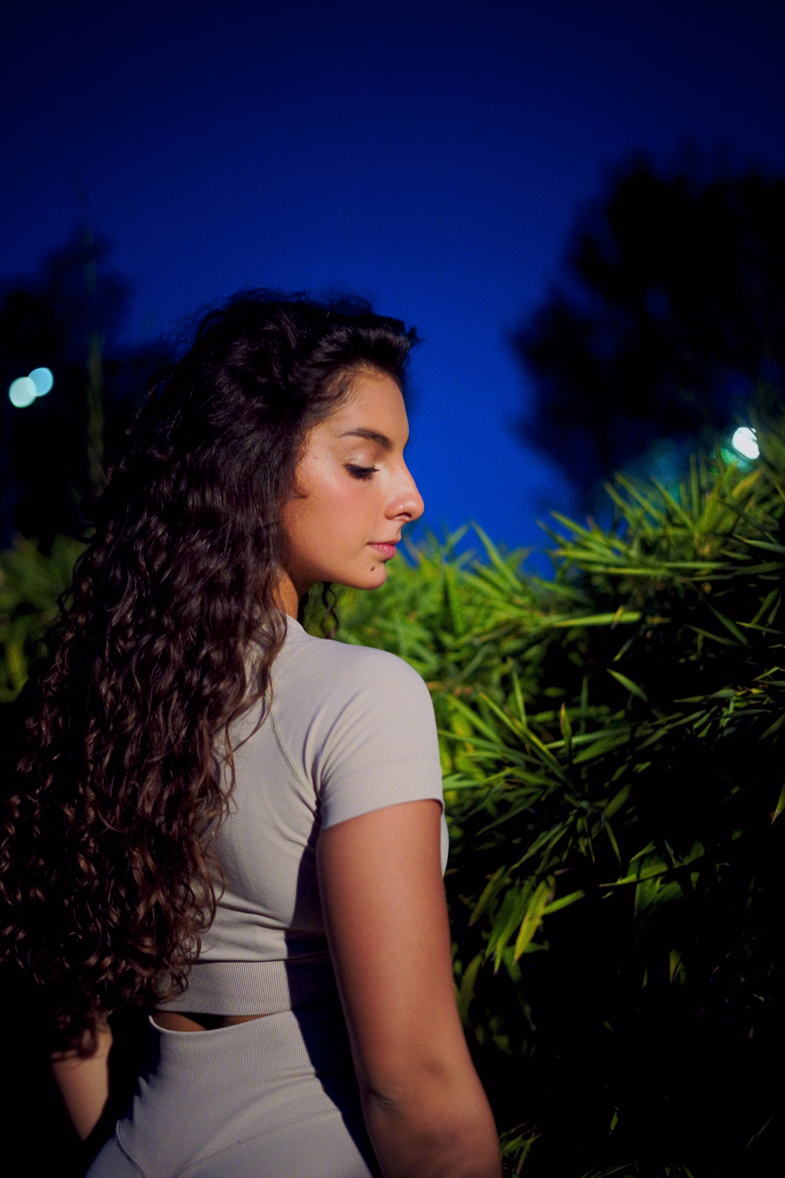 Night ll. Zhukov studio