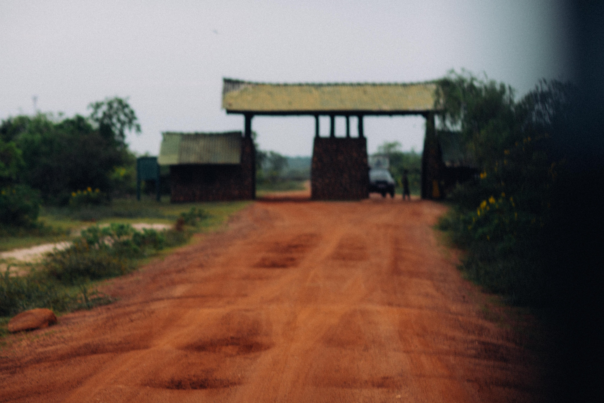 Ыы. Фотограф Андрей Друк