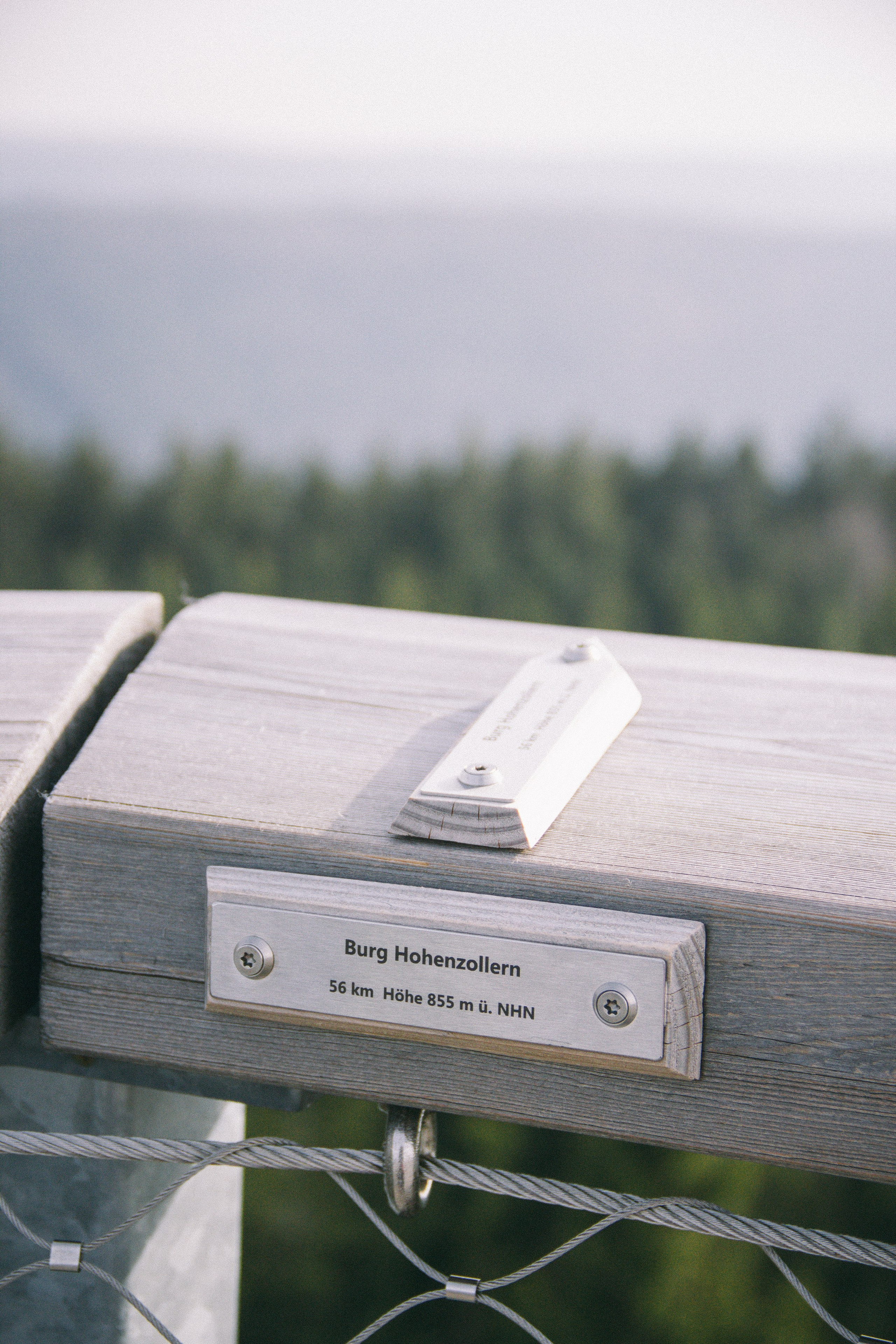 Над вершинами деревьев Baumwipfelpfad. Фотограф в Германии — Мария Чистякова