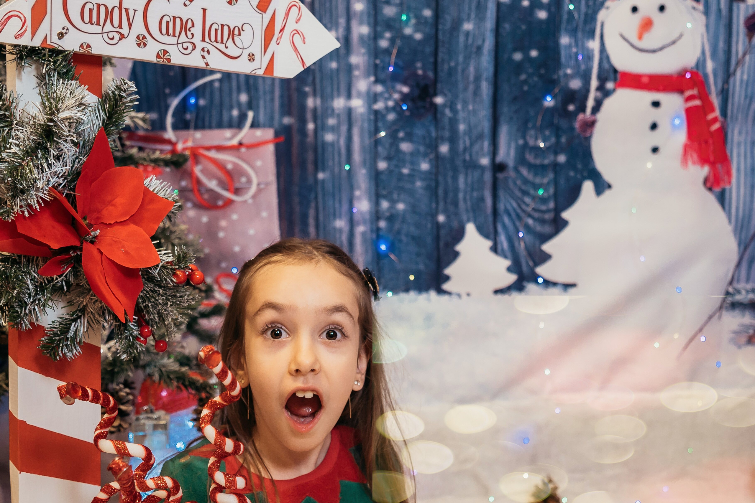 Sedinta Craciun Sofia