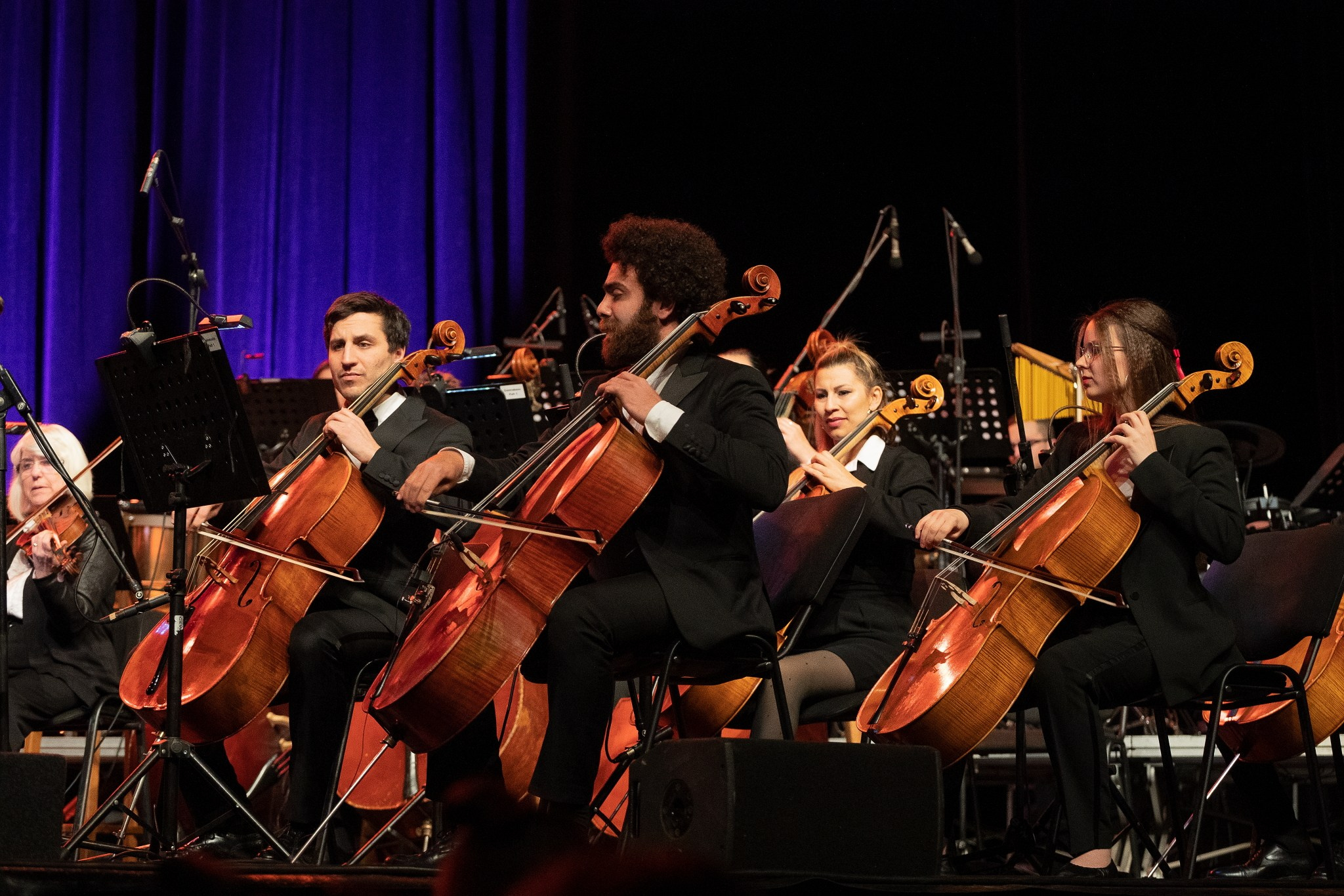 Найджъл Кенеди и Георги Андреев — репетиция и концерт в София, 13.02.2025. Александър Сандев - личен сайт на фотографа