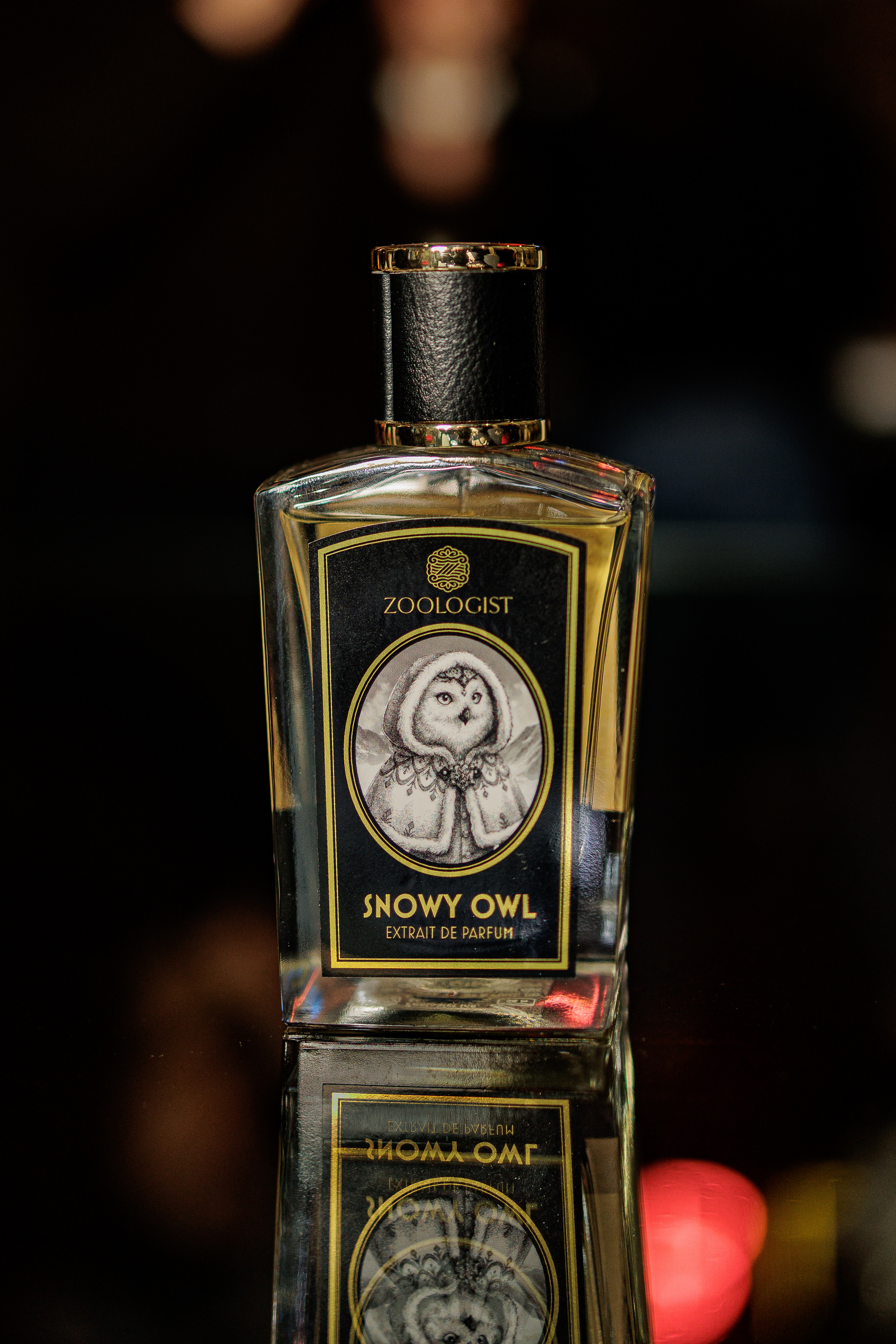 CONTENT PHOTOGRAPHY PERFUME TOUR. Professional garden design and photography services in London