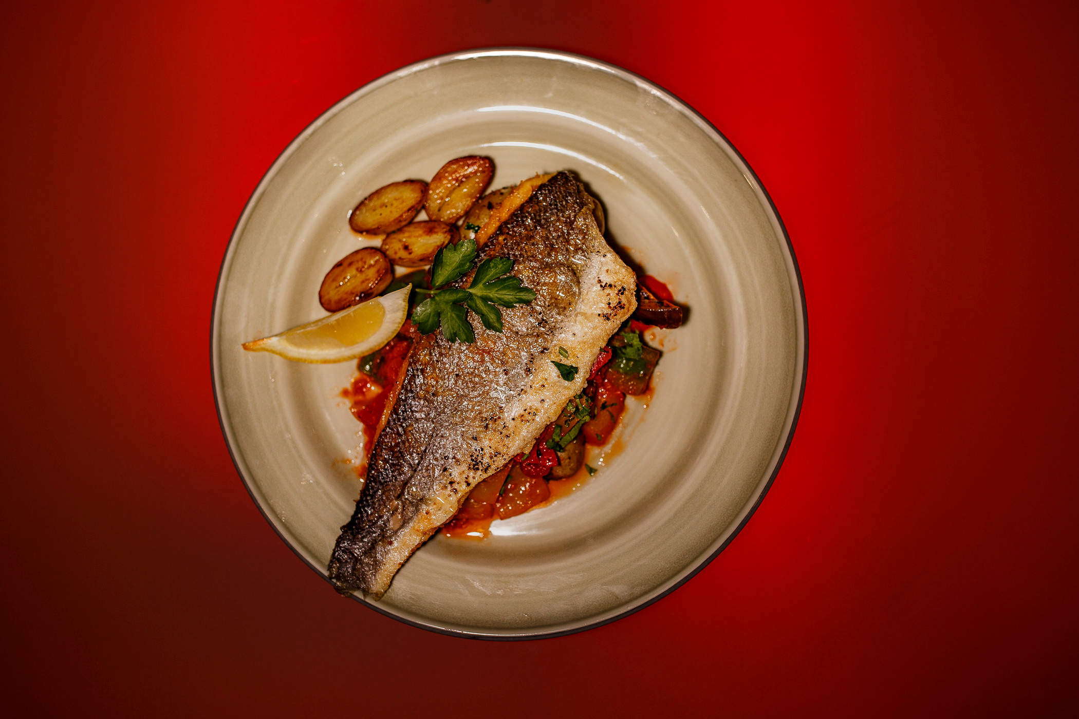 CONTENT & PRODUCT PHOTOGRAPHY. Professional garden design and photography services in London