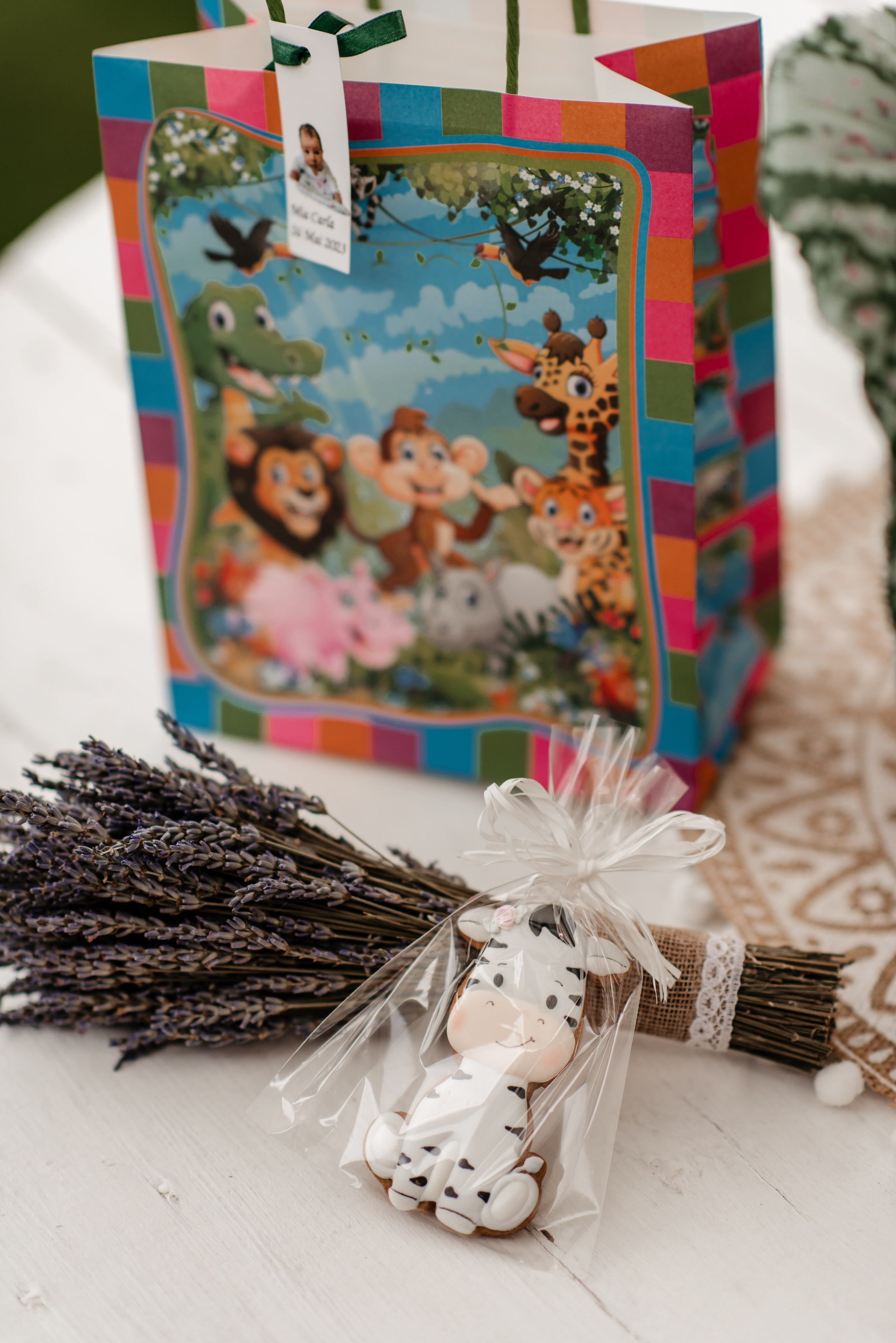 Radu Rahovan Fotograf de botez Cluj