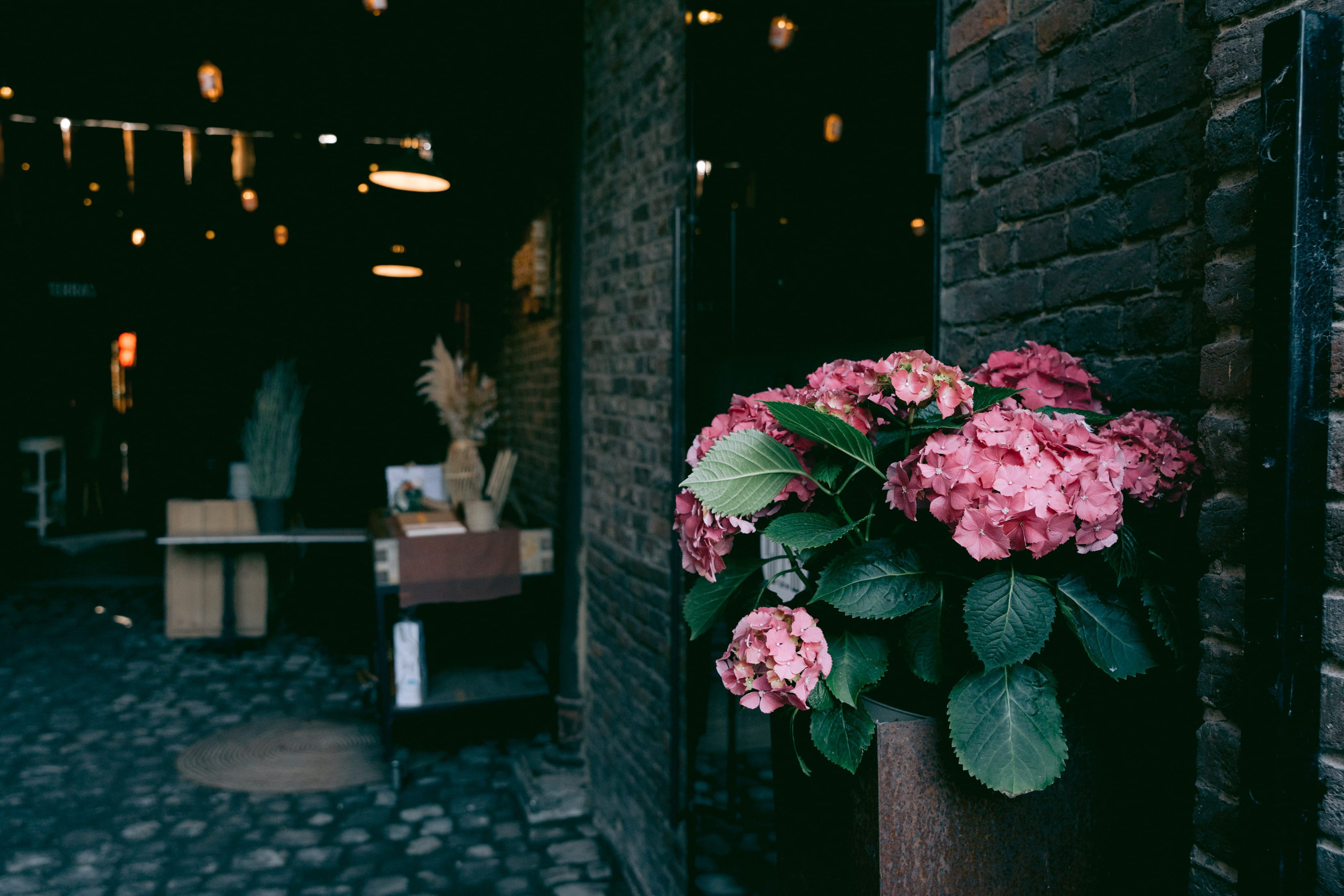 Wedding Tessa & Jasper Hasselt. Little Birdie – Jouw familie- en huwelijksfotograaf in België en daarbuiten