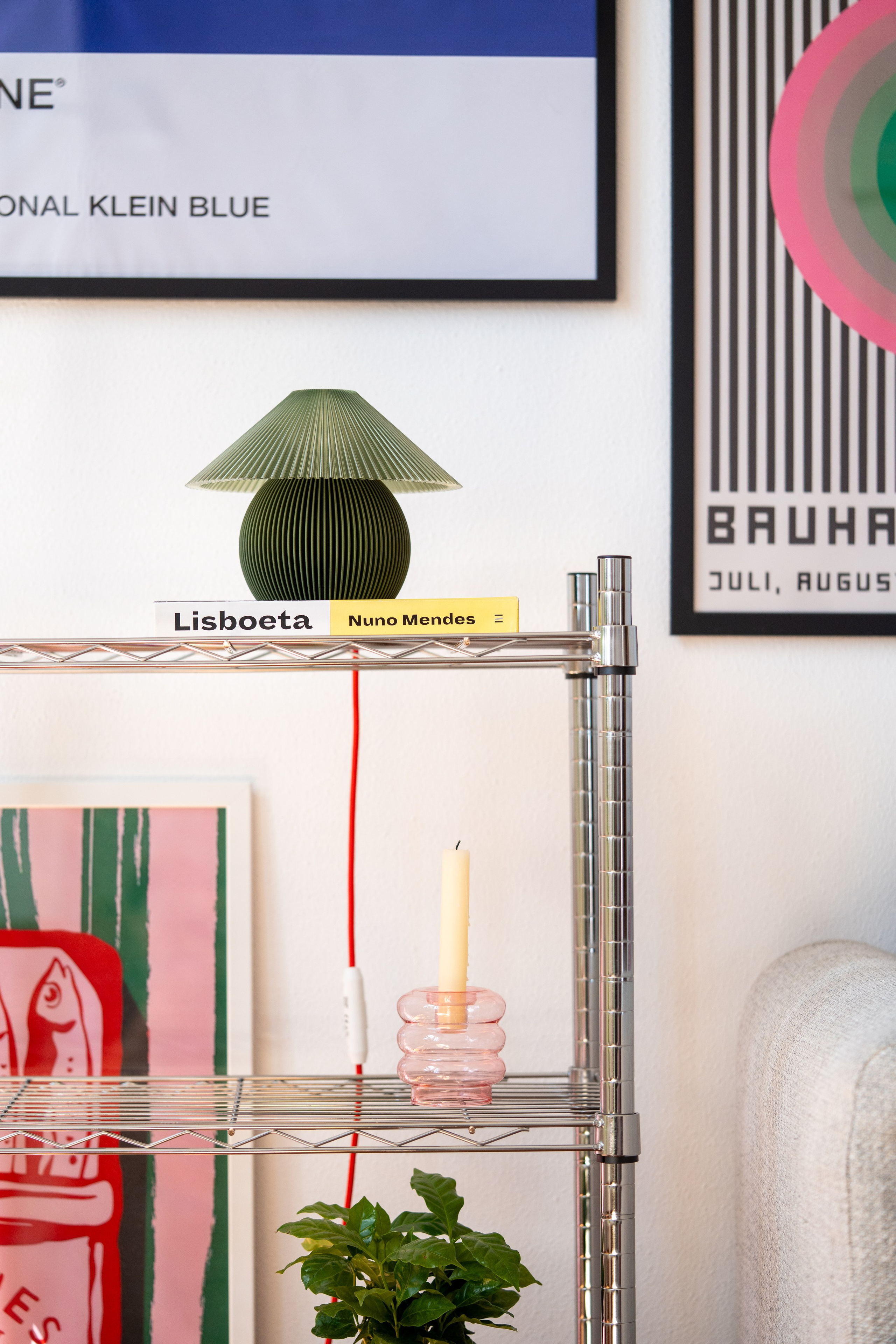 Lumu. Maria Sher. Professional photographer from Porto, Portugal