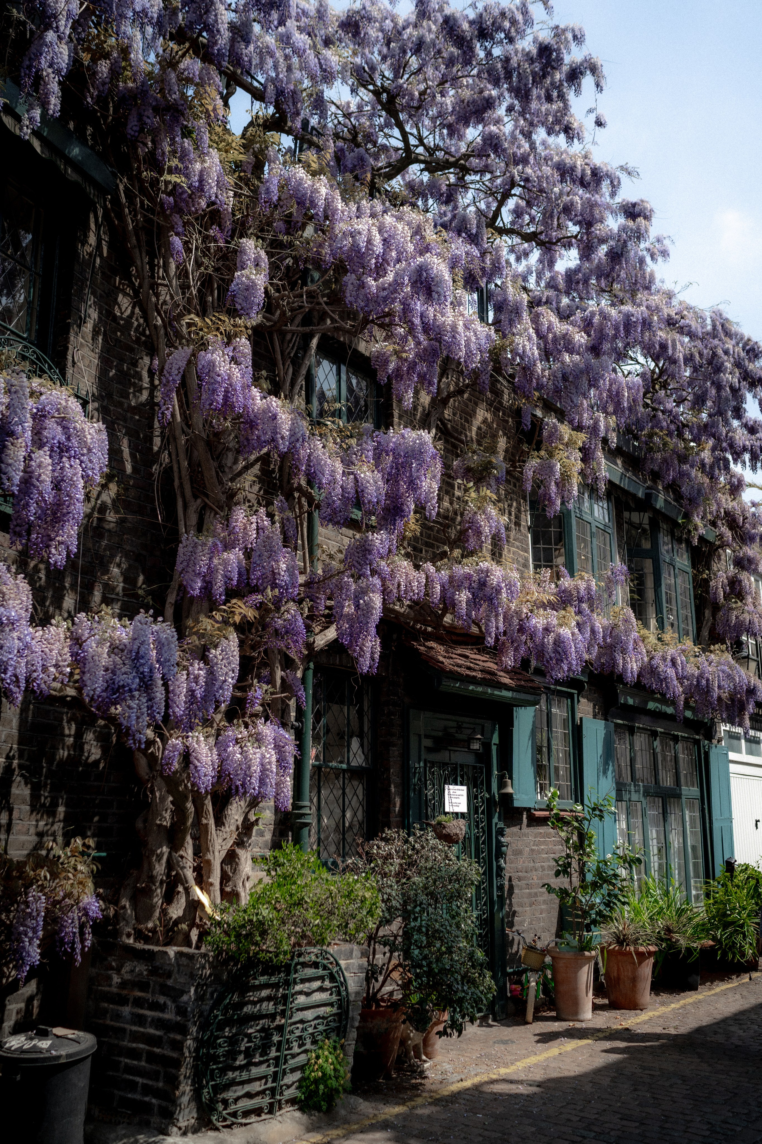 Hysteria. Tonya Kyrylenko photographer in London