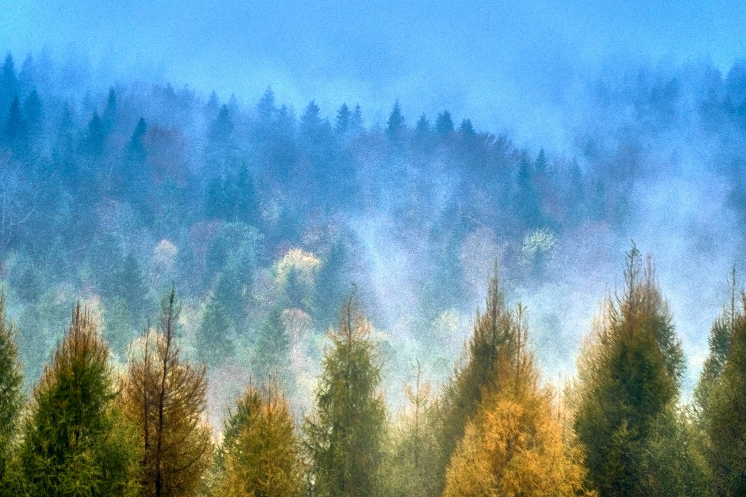 Bieszczady - tu zatrzymuje się czas. Andriej Szypilow - Fotografia & Wideografia