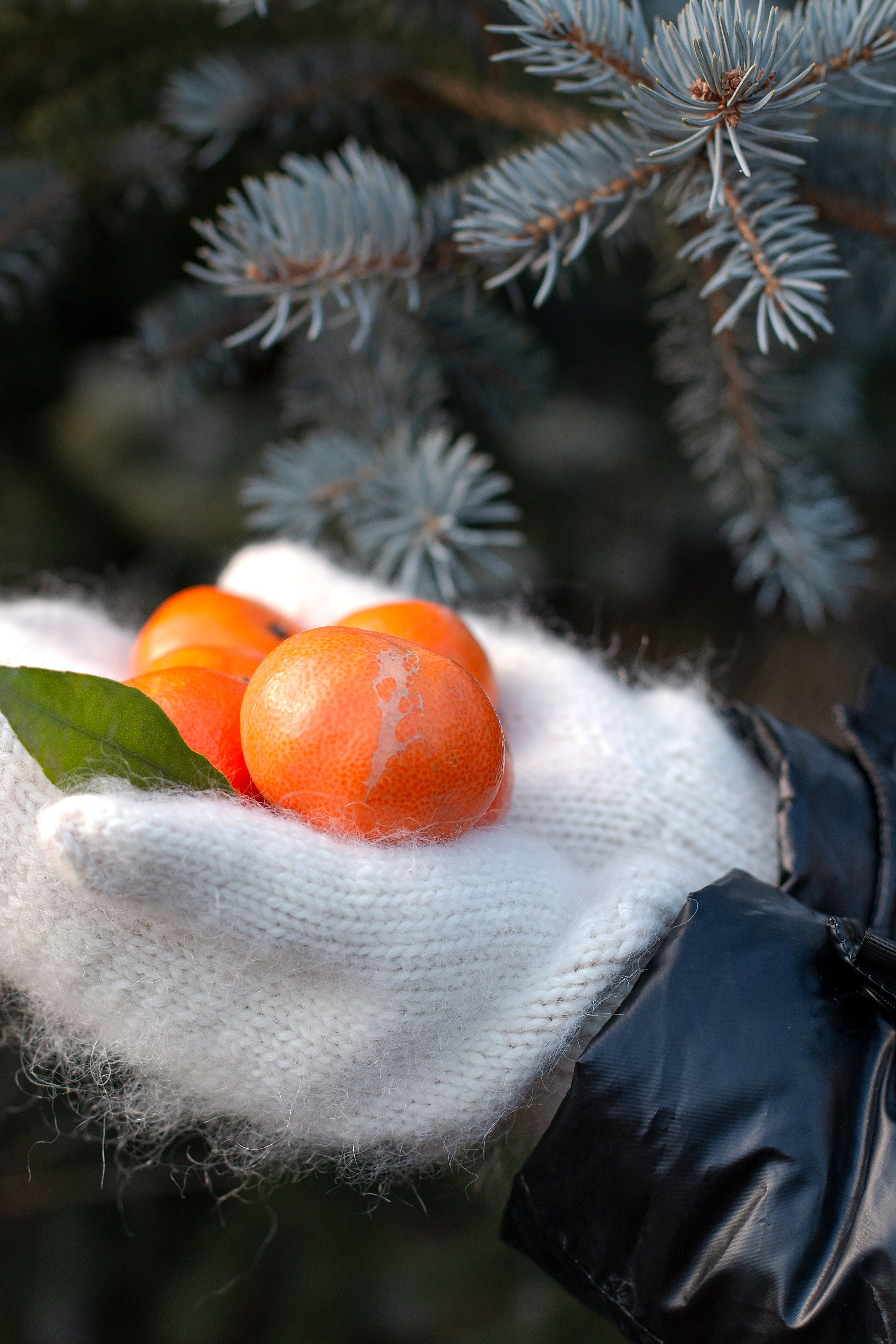 Новый год на улице. Детский и семейный фотограф в г. Бельцы