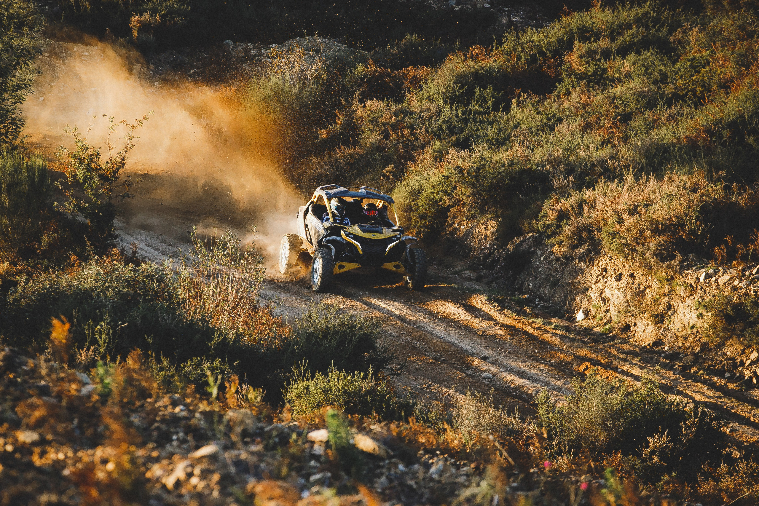 Reportage sport. Wedding photographer and videographer Europe