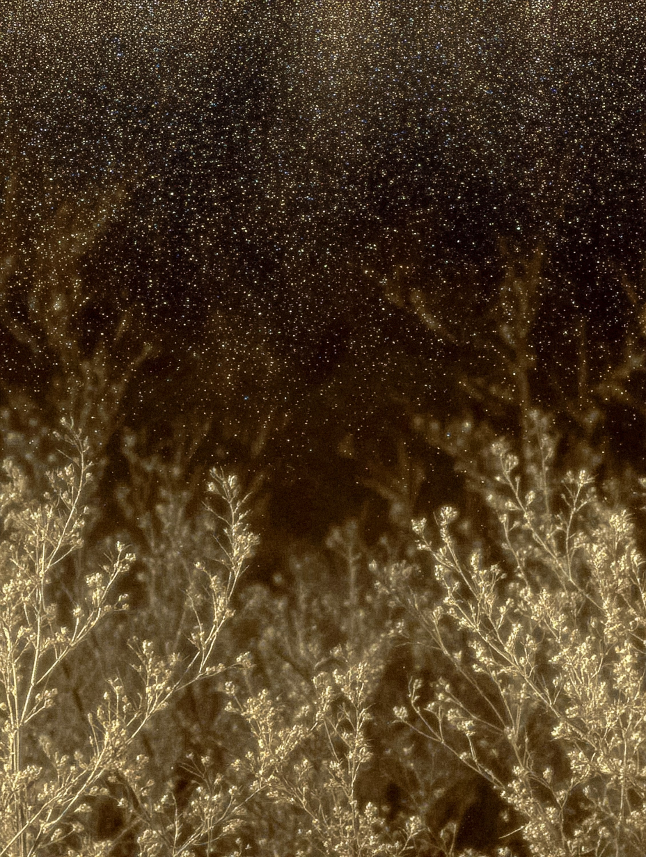 AI Photography & AI-Generated Videos — Marina Kálcheva. Marina Kálcheva — Photographer, Videographer & Visual Artist in Barcelona