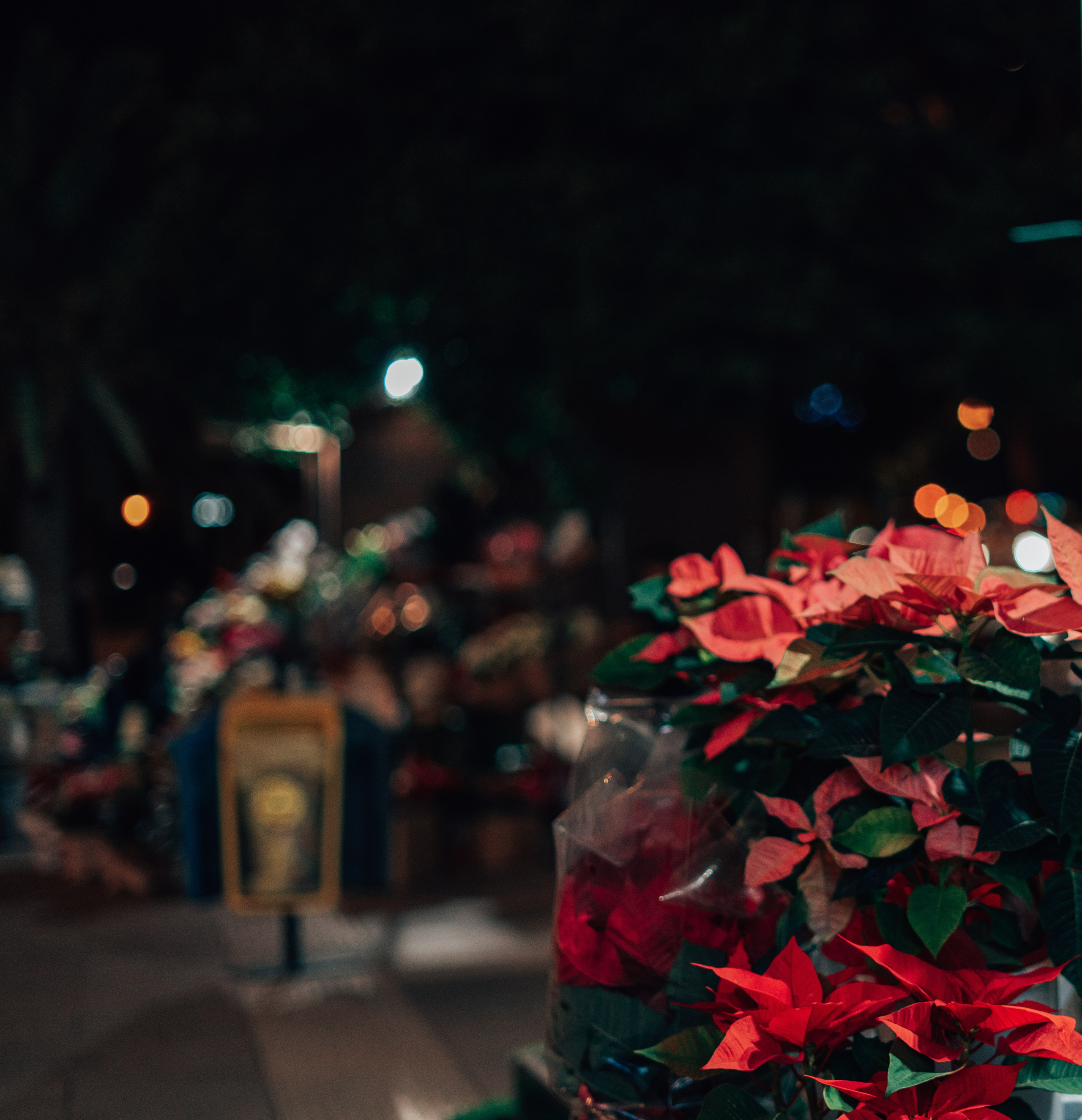 Малага. Анастасия Благова — Твой фотограф в Малаге 🇪🇸