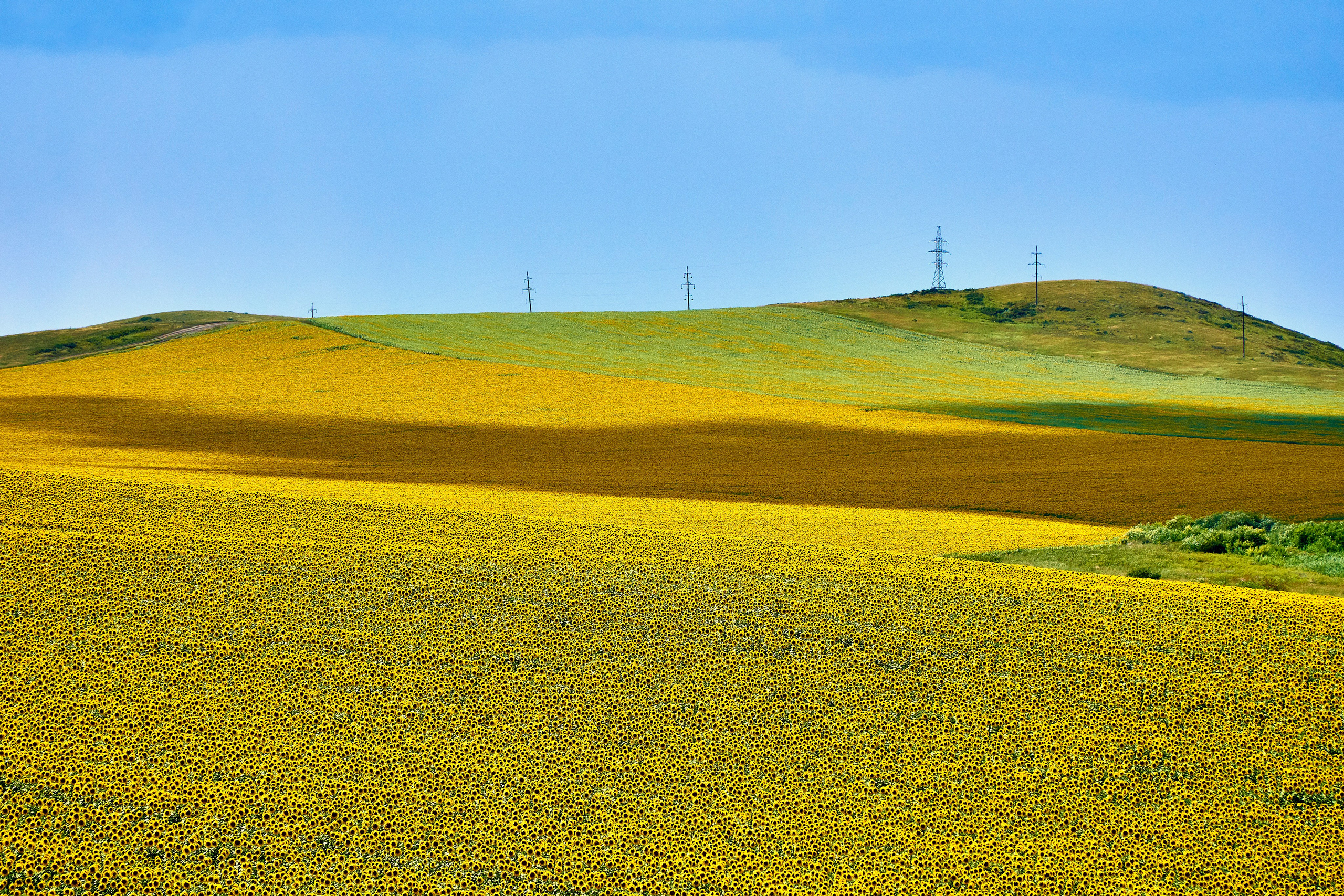 Бухтарма. Андрей Шипилов — Фотография & Видеография