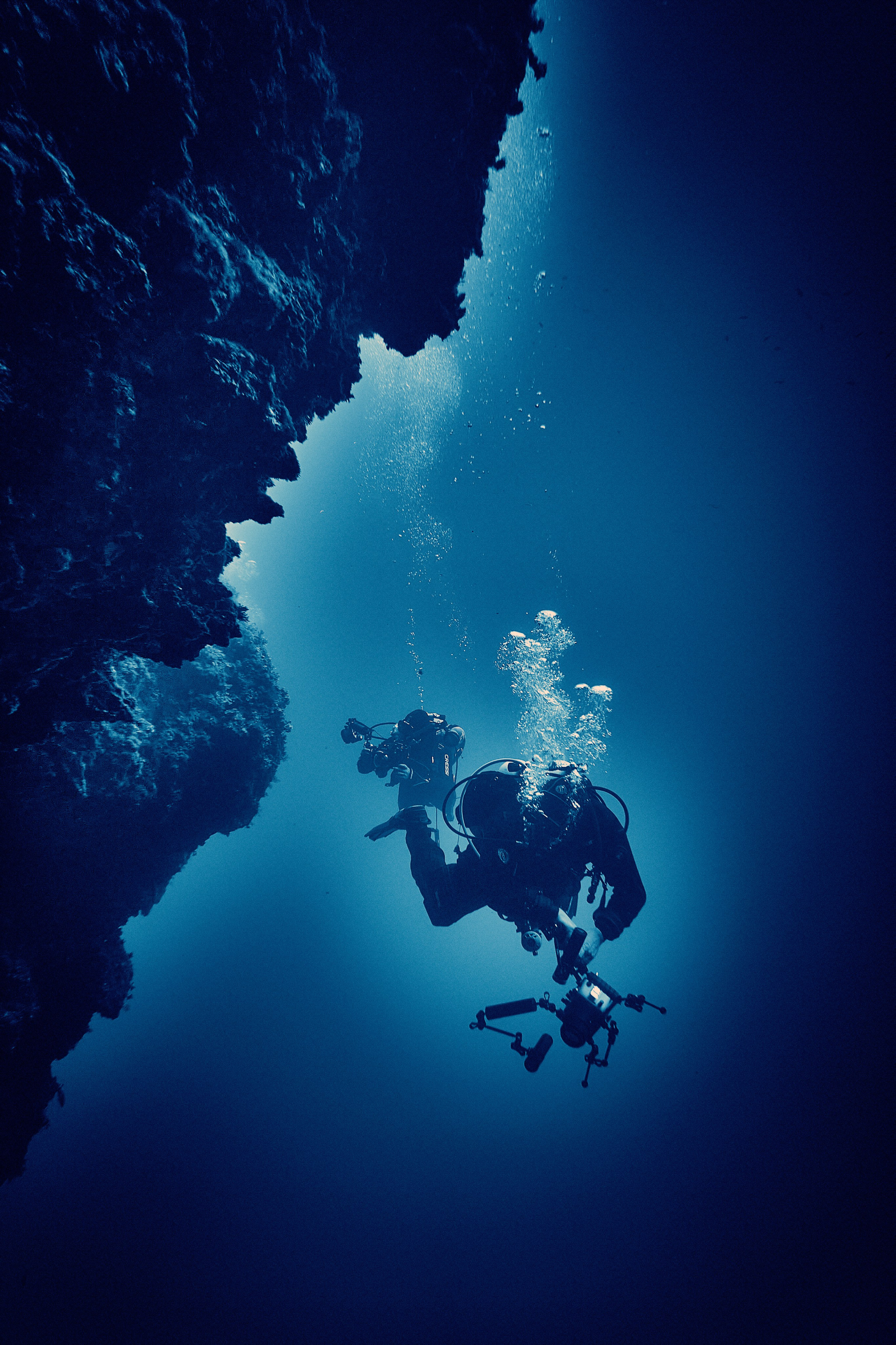 Fotograf podwodny Andriej Szypiłow. Andriej Szypilow - Fotografia & Wideografia