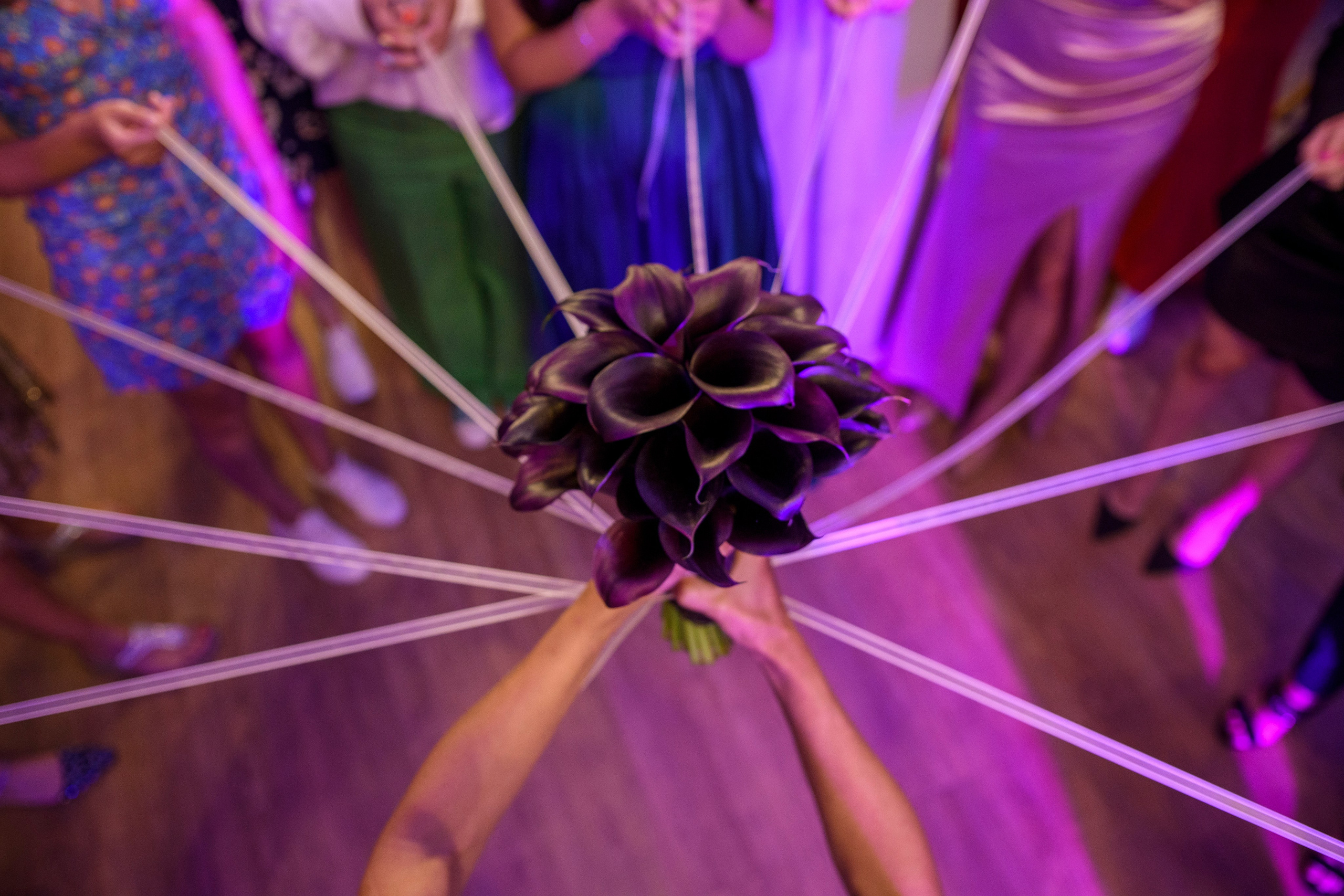 Fotografii Nunta + Botez Ciresul Salbatic. MDimaFotoStudio. Fotograf de nuntă, evenimente private și de familie