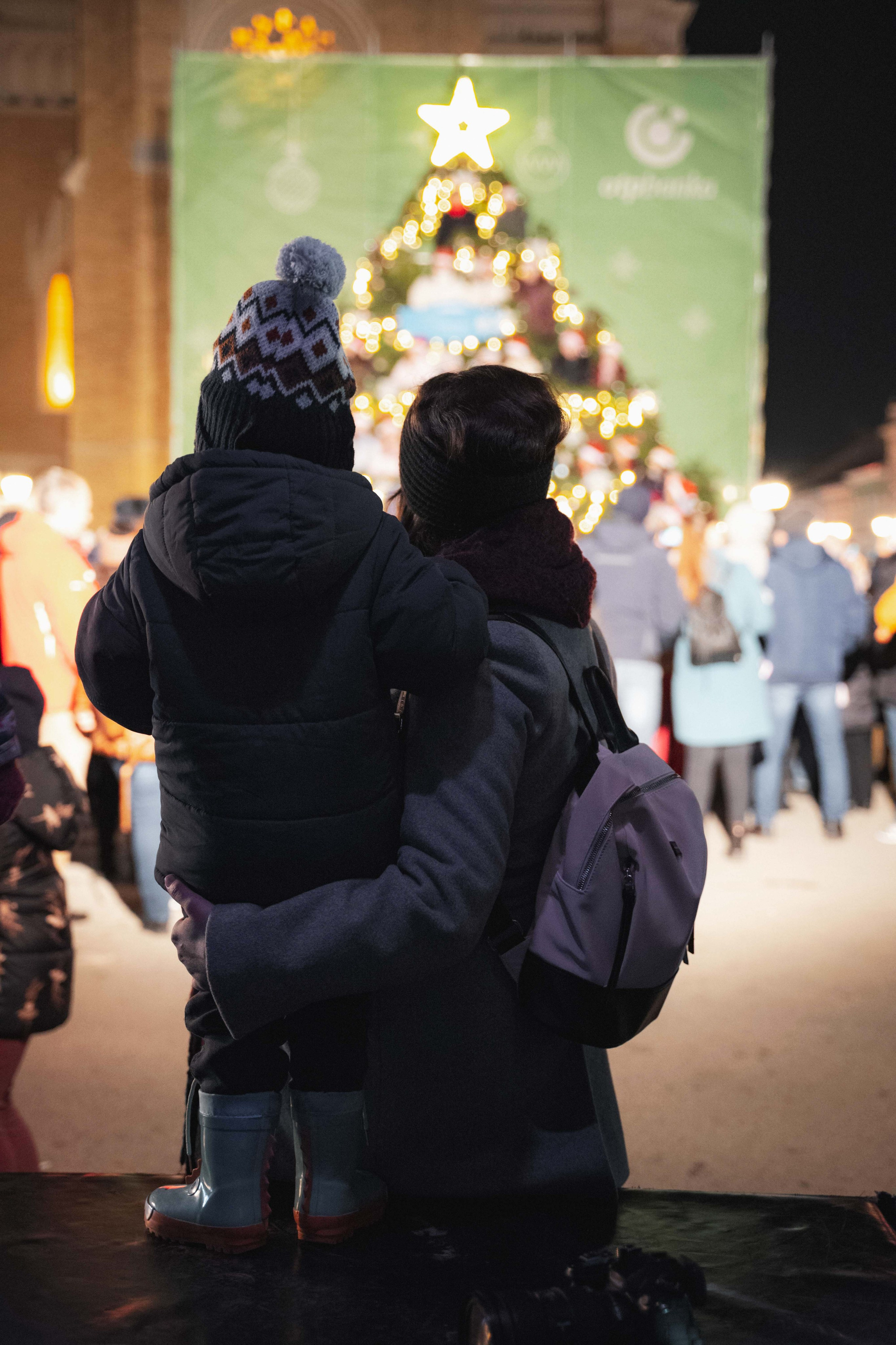 Novosadski Zimzolend. Жуков Студио