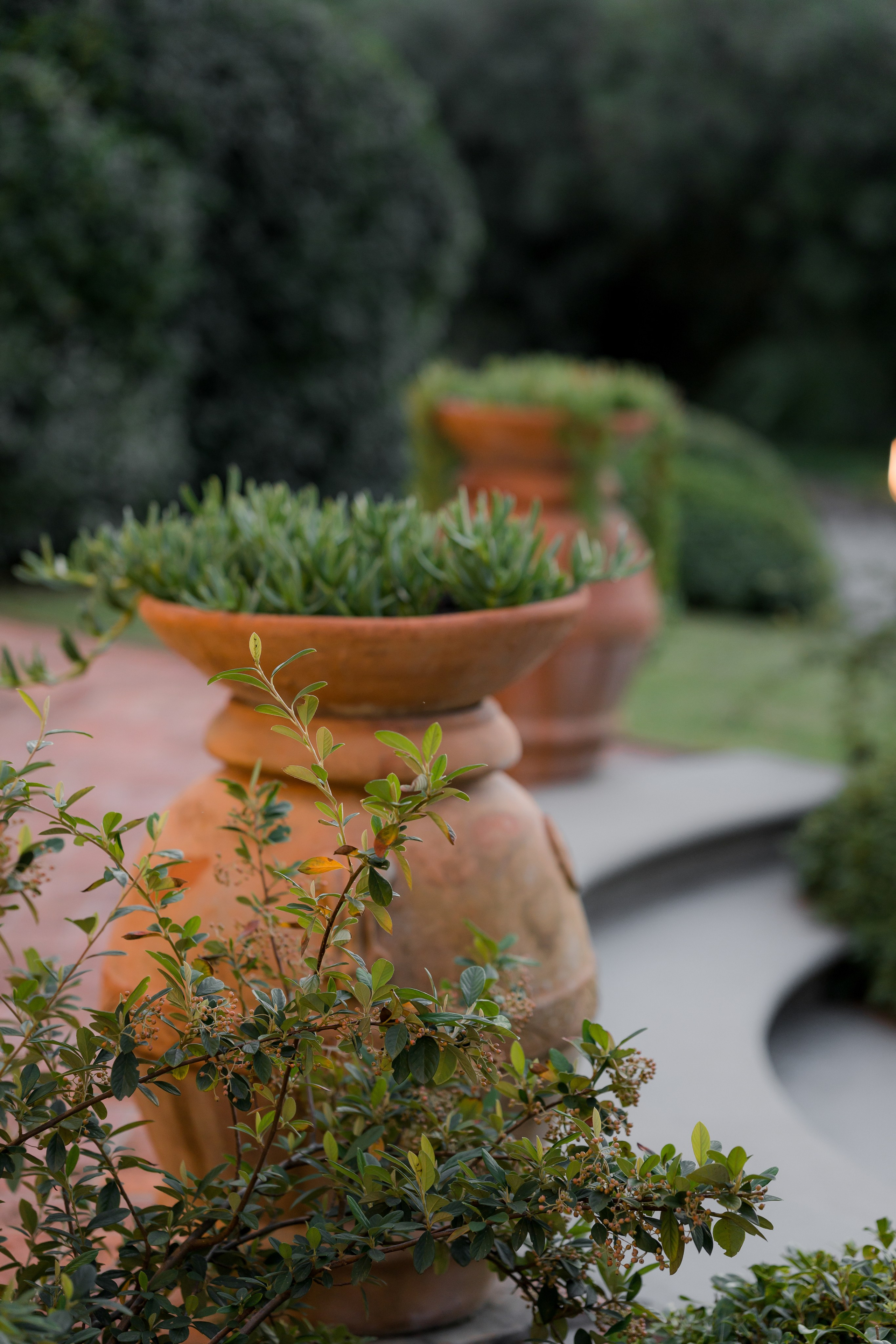 Dom&Ally. Wedding photographer Italy