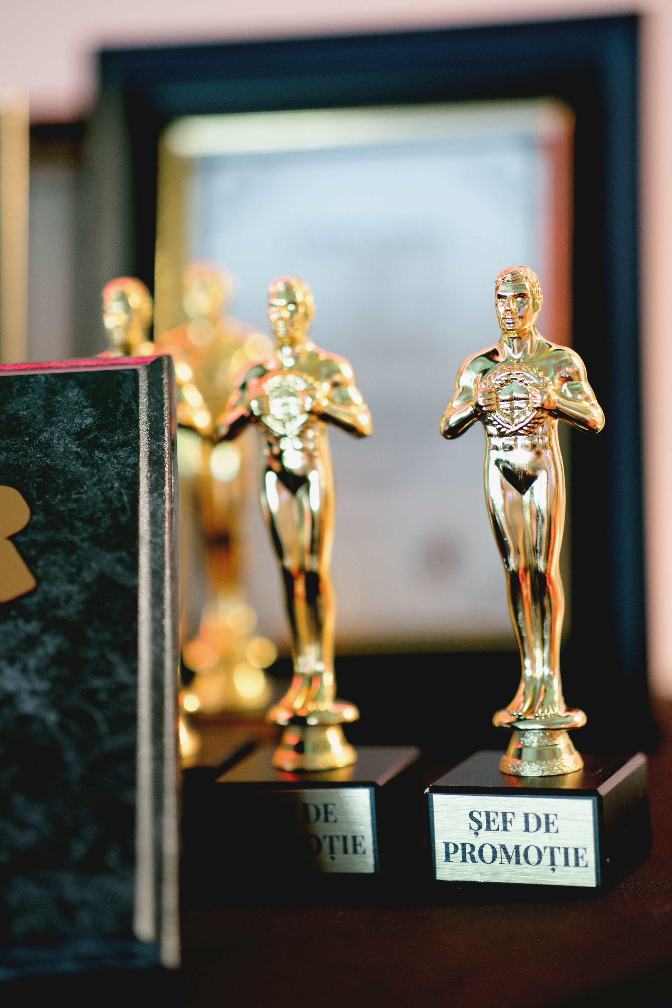 Festivitate Absolvire SNSPA 2024 - Jubile Bucuresti. MDimaFotoStudio. Fotograf de nuntă, evenimente private și de familie