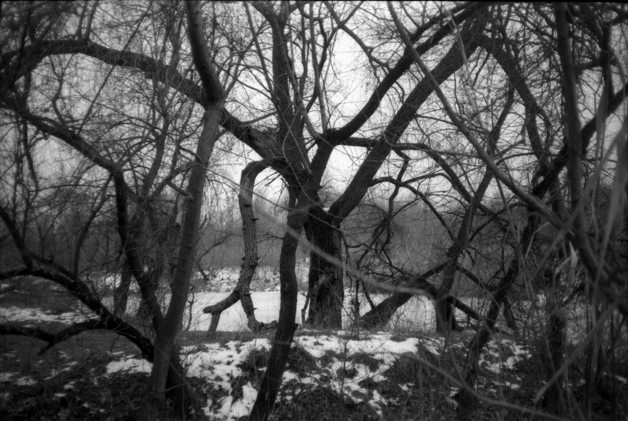 Silent light. Natalia Parfenova visual artist film photographer