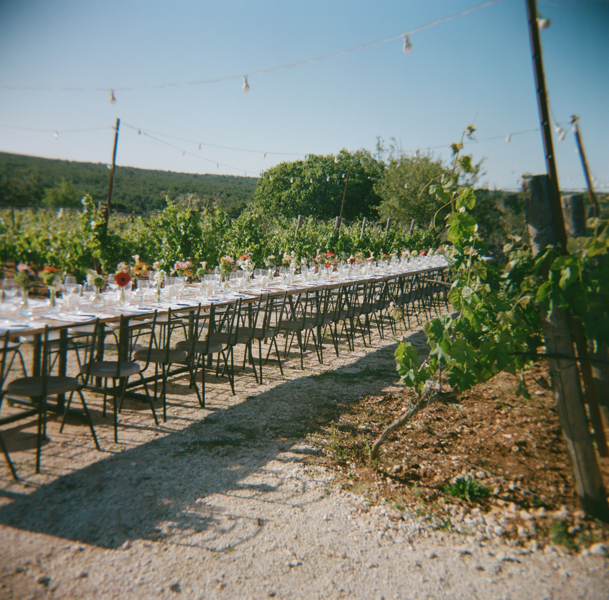 Stephanie & Christian film photos. Wedding photographer Italy