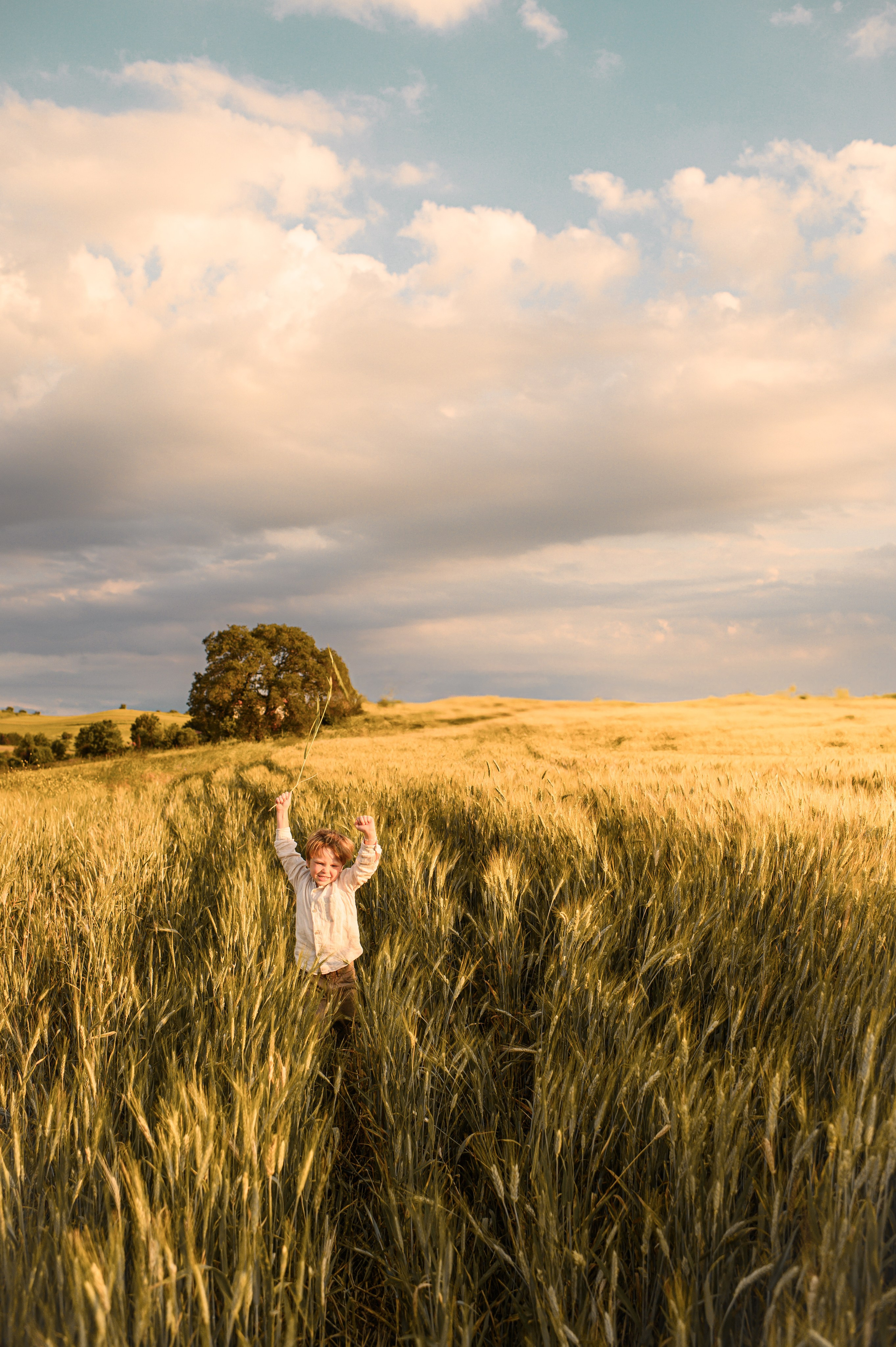 Wheat fields. Family, children, portrait, and event photography in Thessaloniki
