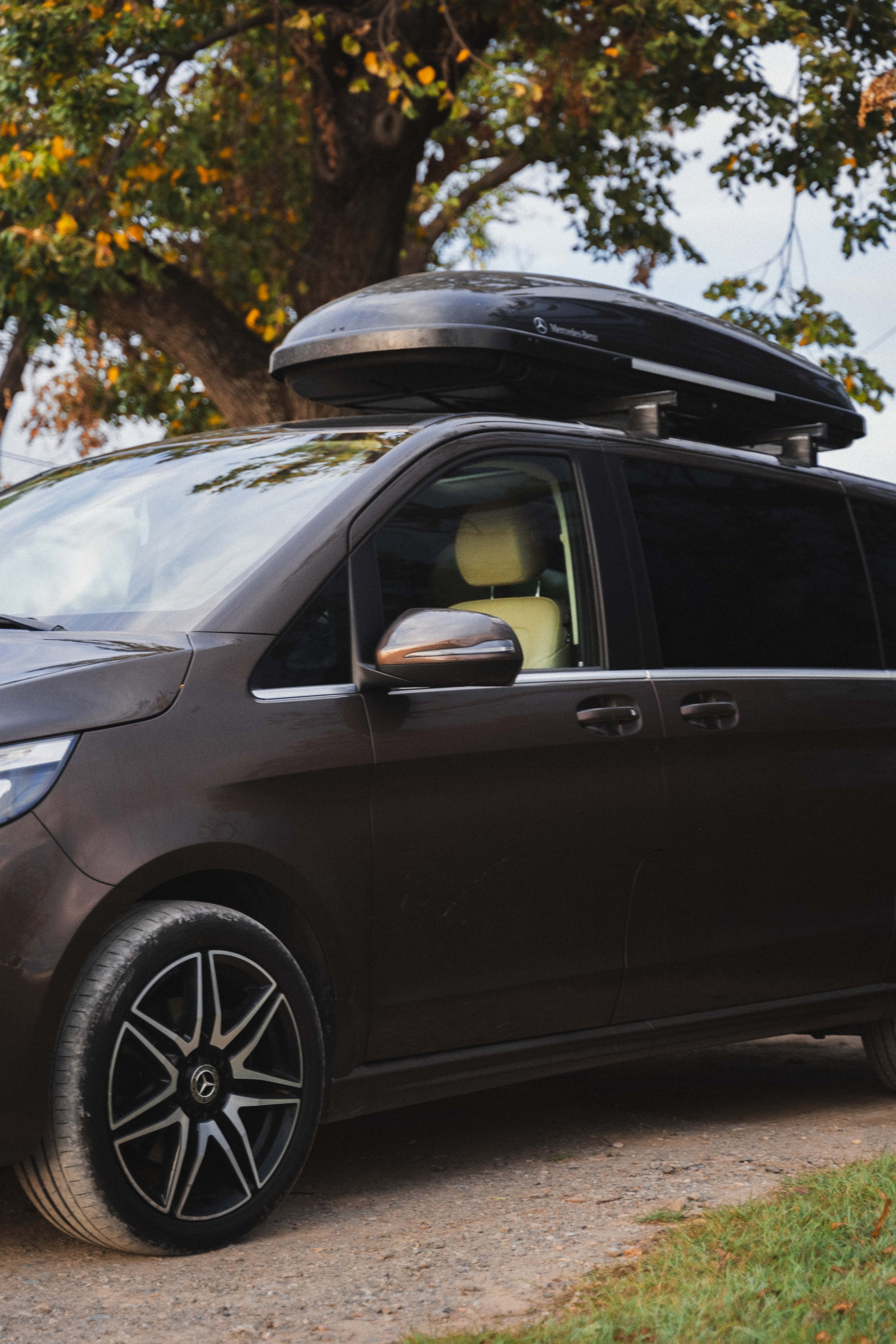 V class. Zhukov studio