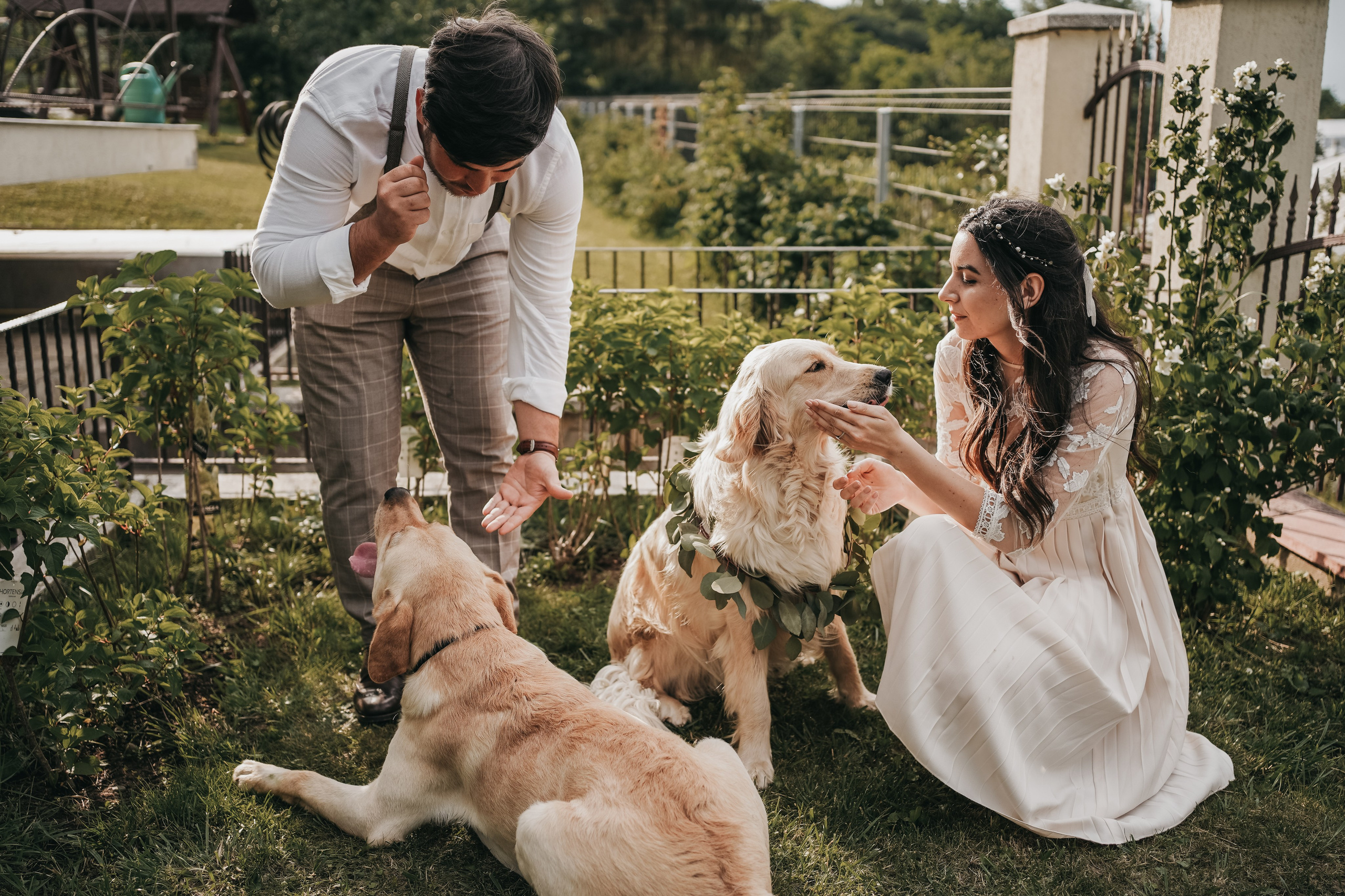 Fotograf stare civila Botosani. Fotograf Nunta Iasi - Hearts & Pictures