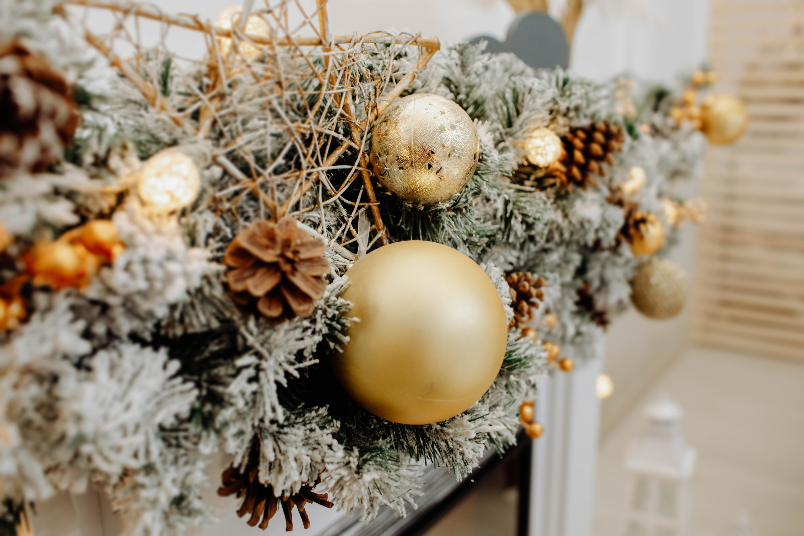 Grisa & Diana. Servicii Foto/Video