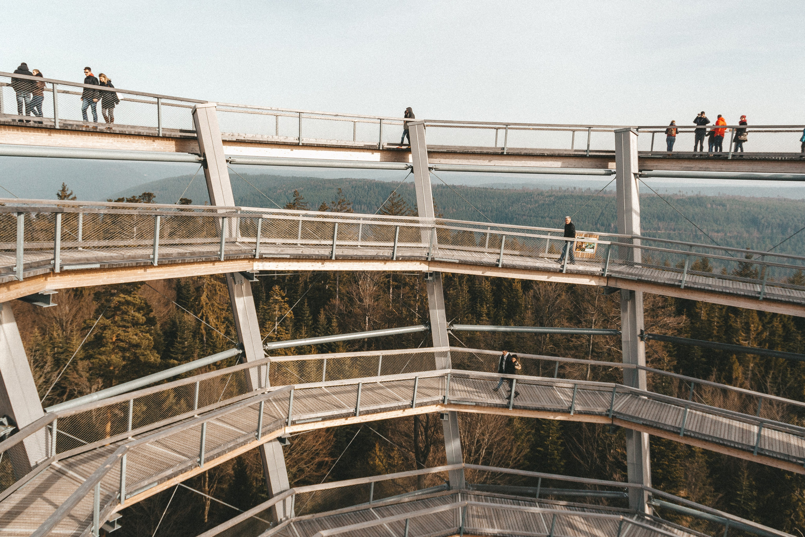 Над вершинами деревьев Baumwipfelpfad. Фотограф в Германии — Мария Чистякова