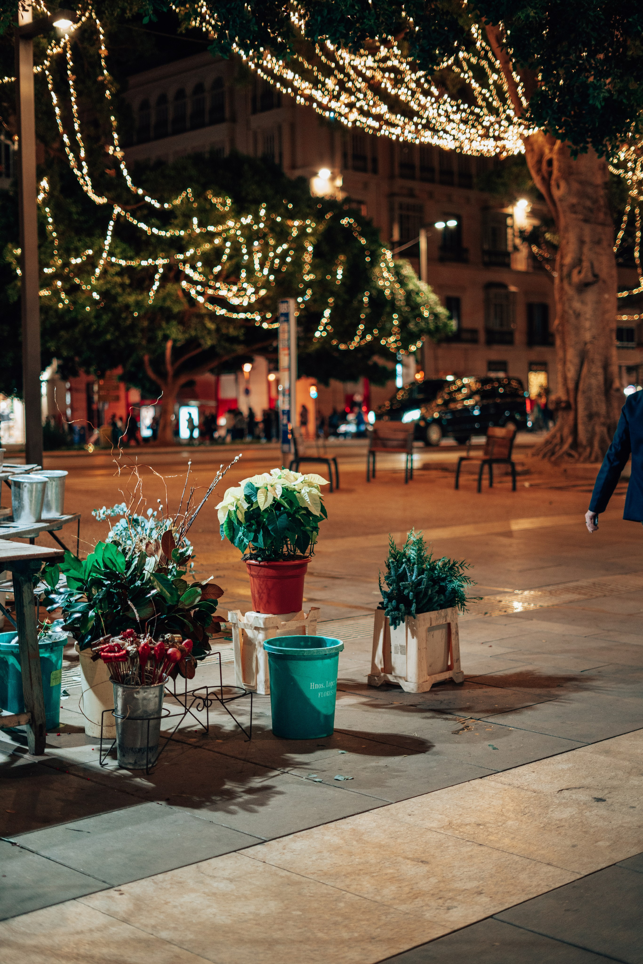 Малага. Анастасия Благова — Твой фотограф в Малаге 🇪🇸