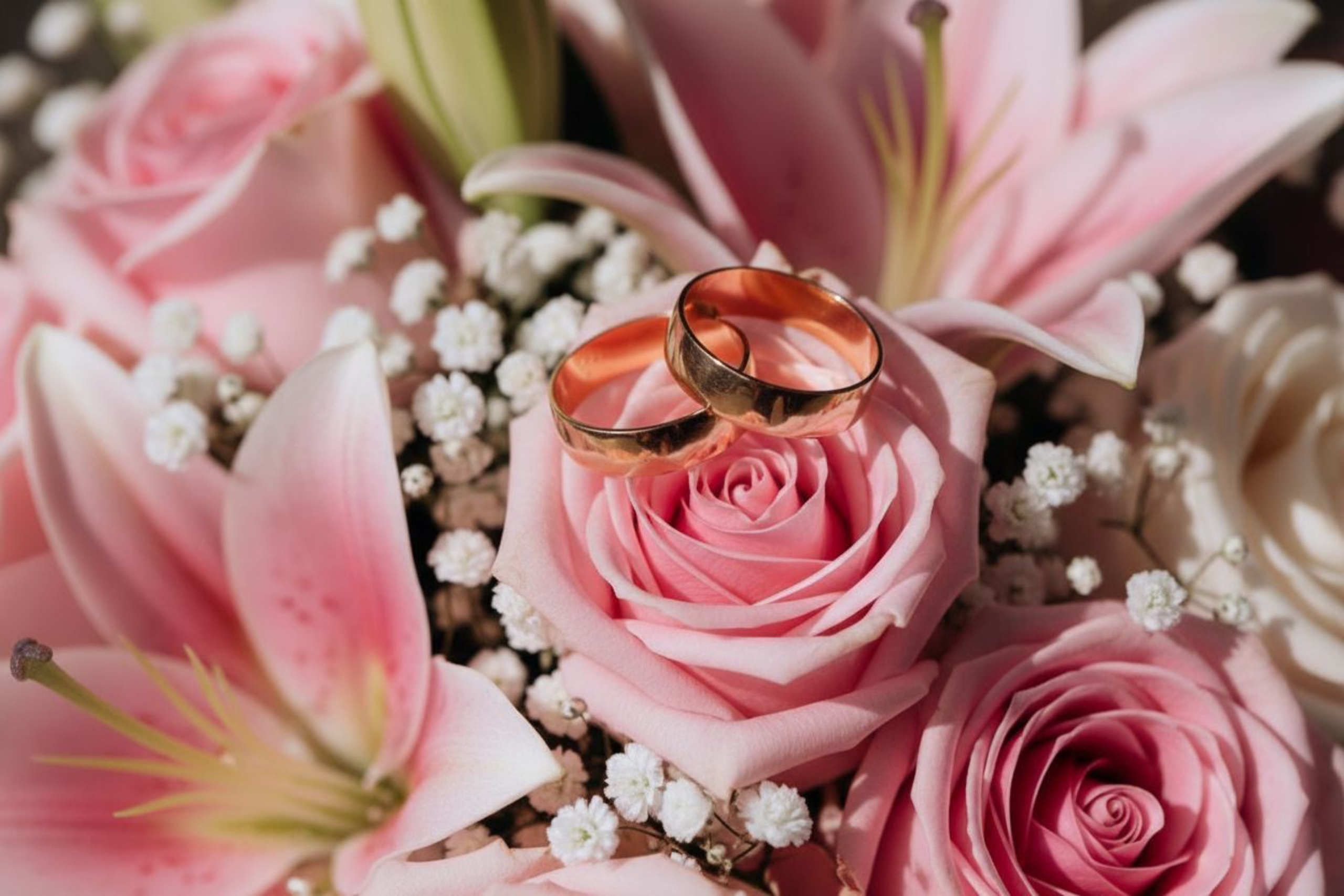 Reportage. Family & Maternity Photographer in Dresden Tatiana Mudryak