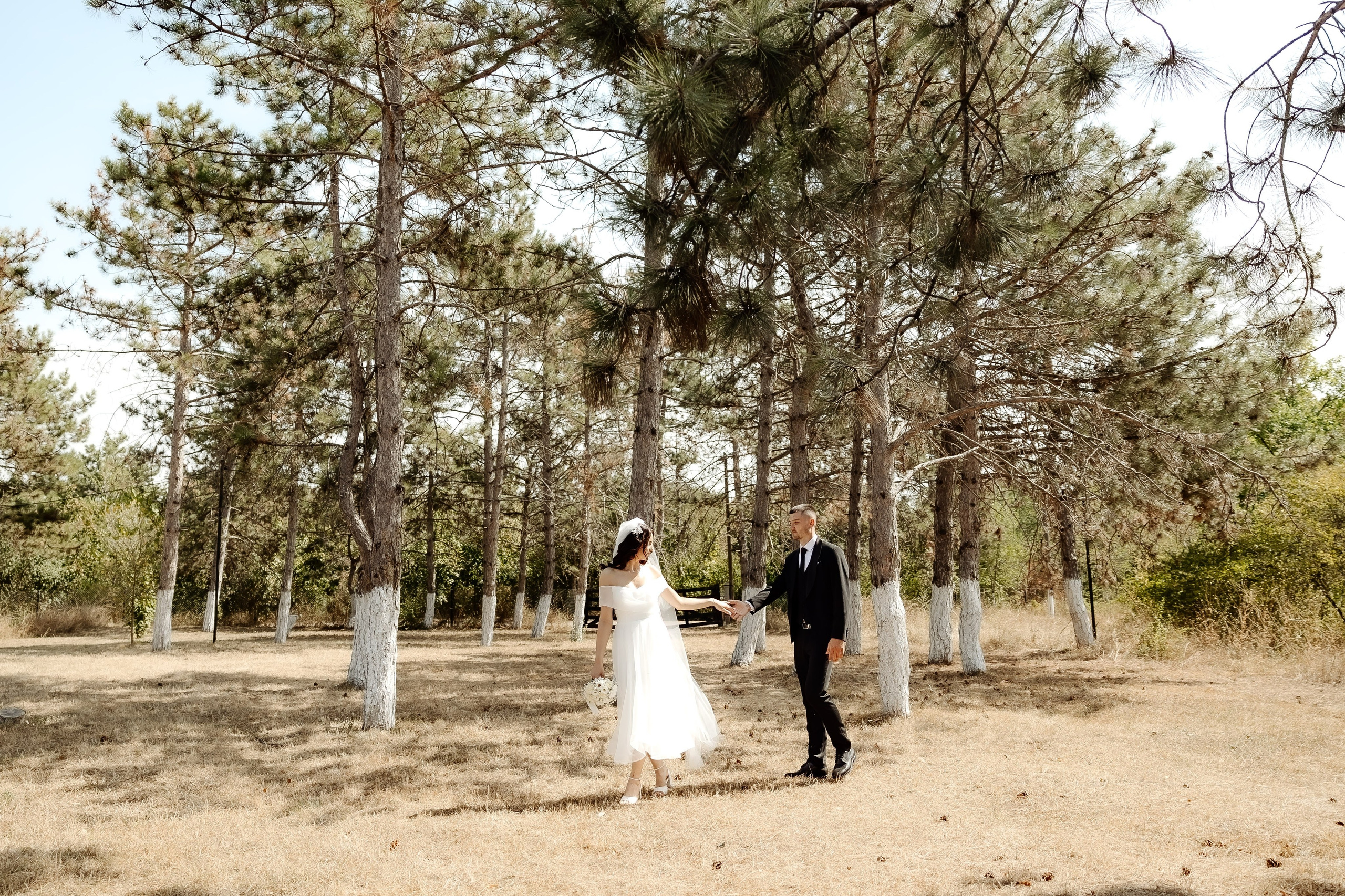 Liviu & Aurelia. Servicii Foto/Video