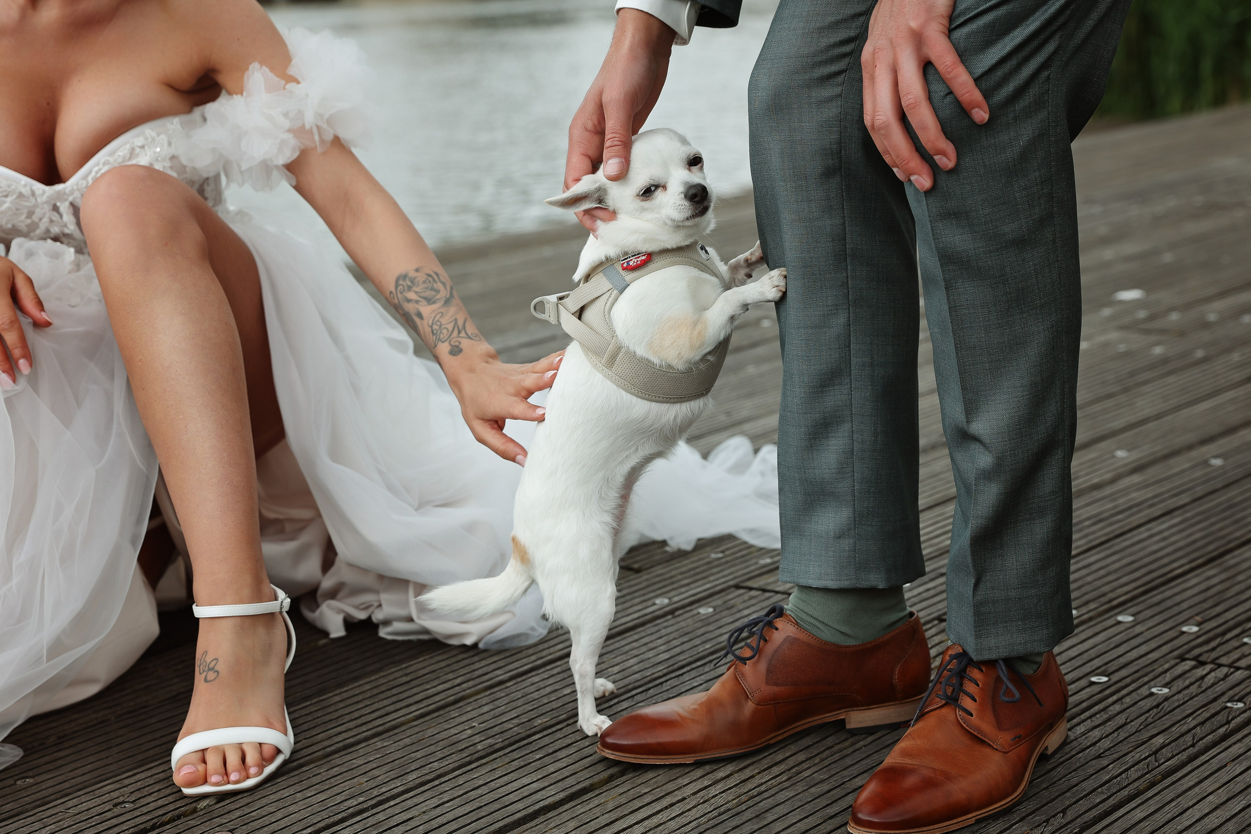 Hochzeit. Oxana Gruber Fotograf