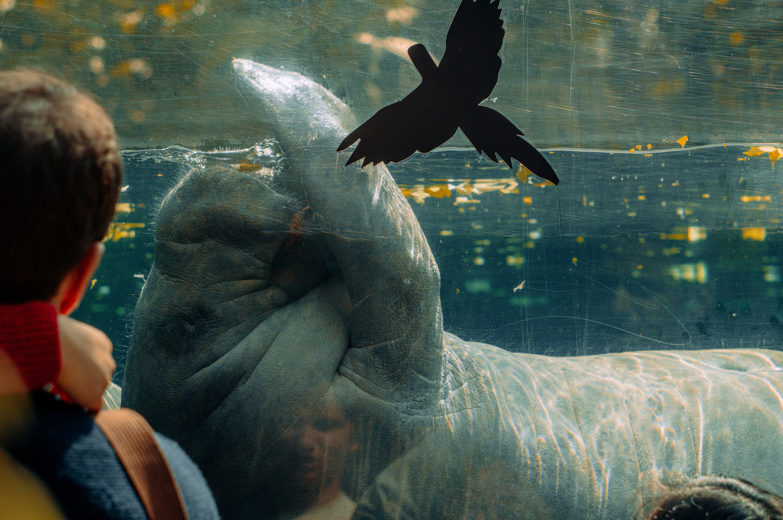 Франция. Анастасия Благова — Твой фотограф в Малаге 🇪🇸